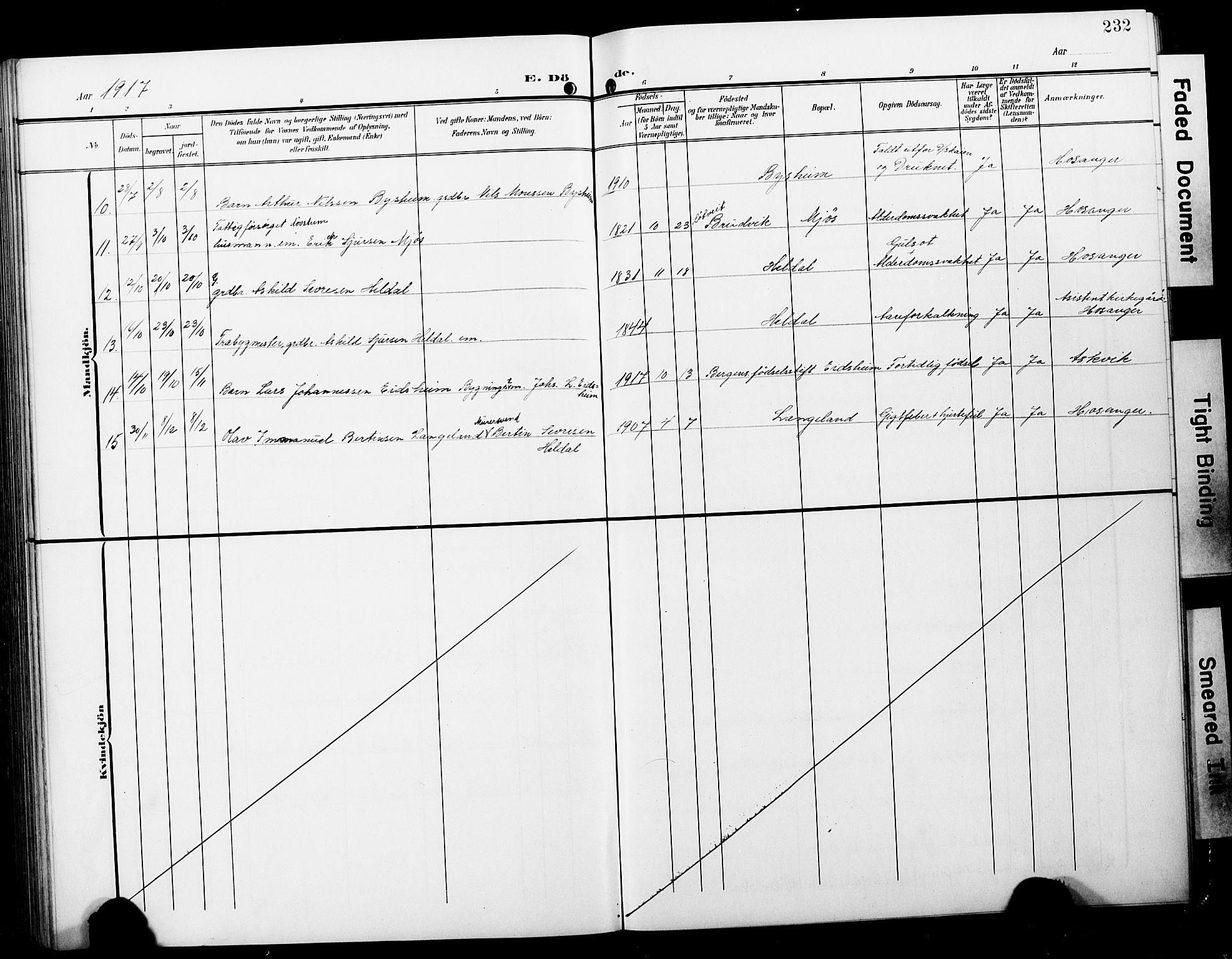 Hosanger sokneprestembete, AV/SAB-A-75801/H/Hab: Parish register (copy) no. A 4, 1904-1927, p. 232