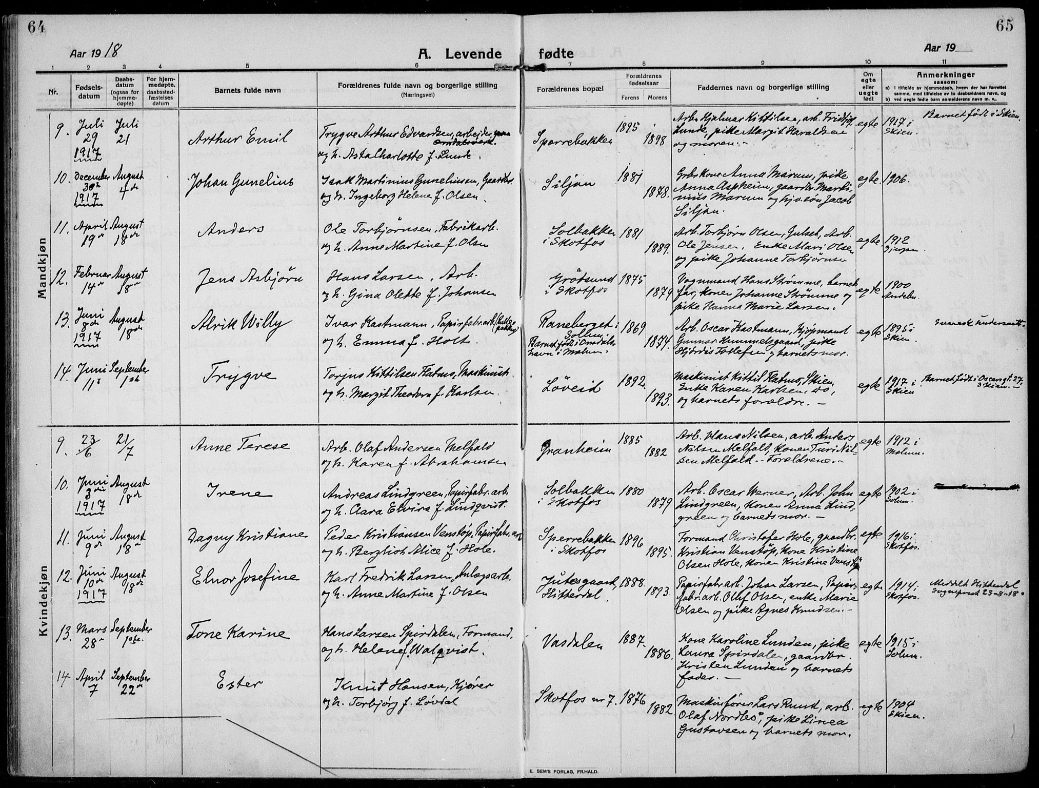 Solum kirkebøker, SAKO/A-306/F/Fb/L0004: Parish register (official) no. II 4, 1913-1924, p. 64-65