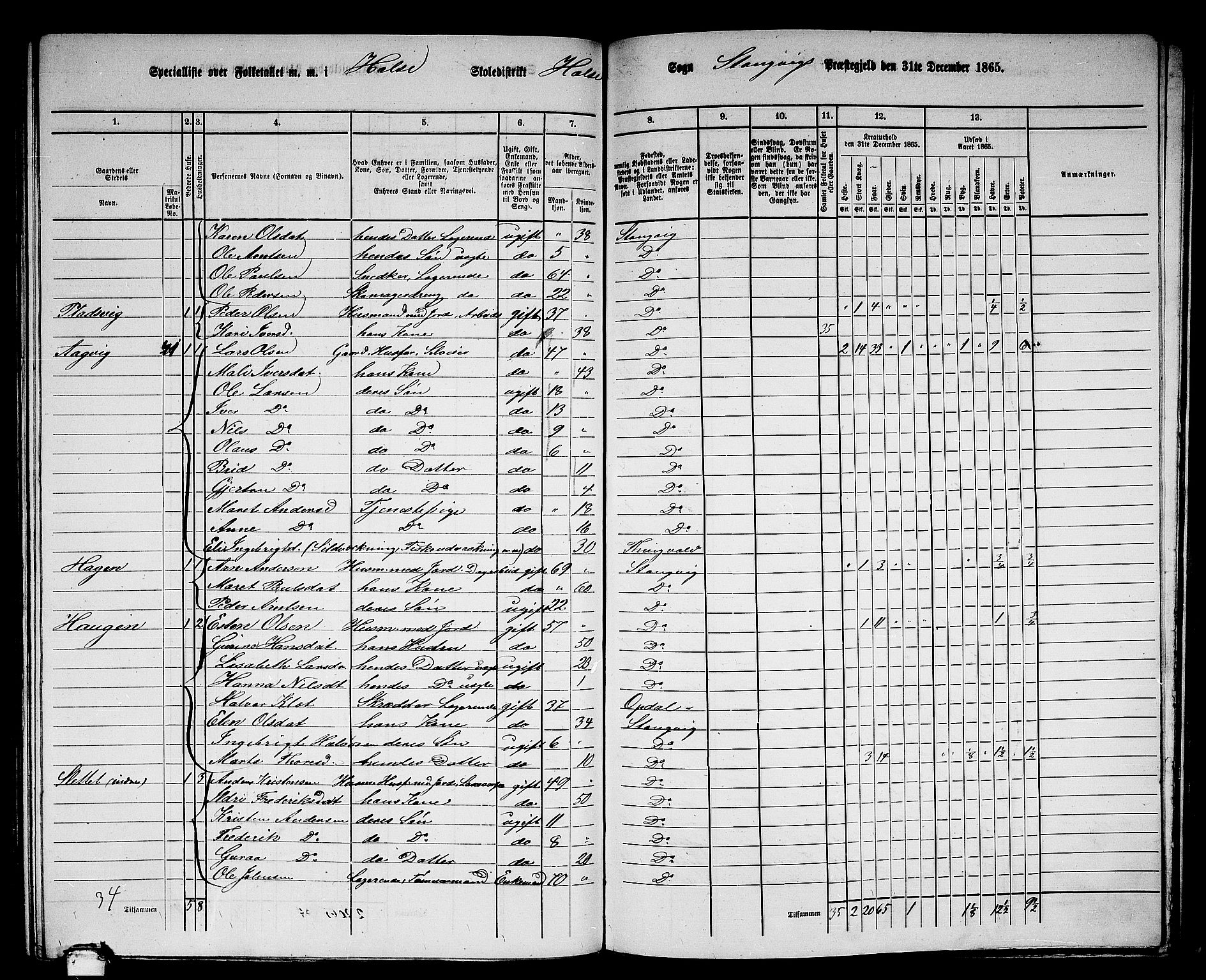 RA, 1865 census for Stangvik, 1865, p. 132