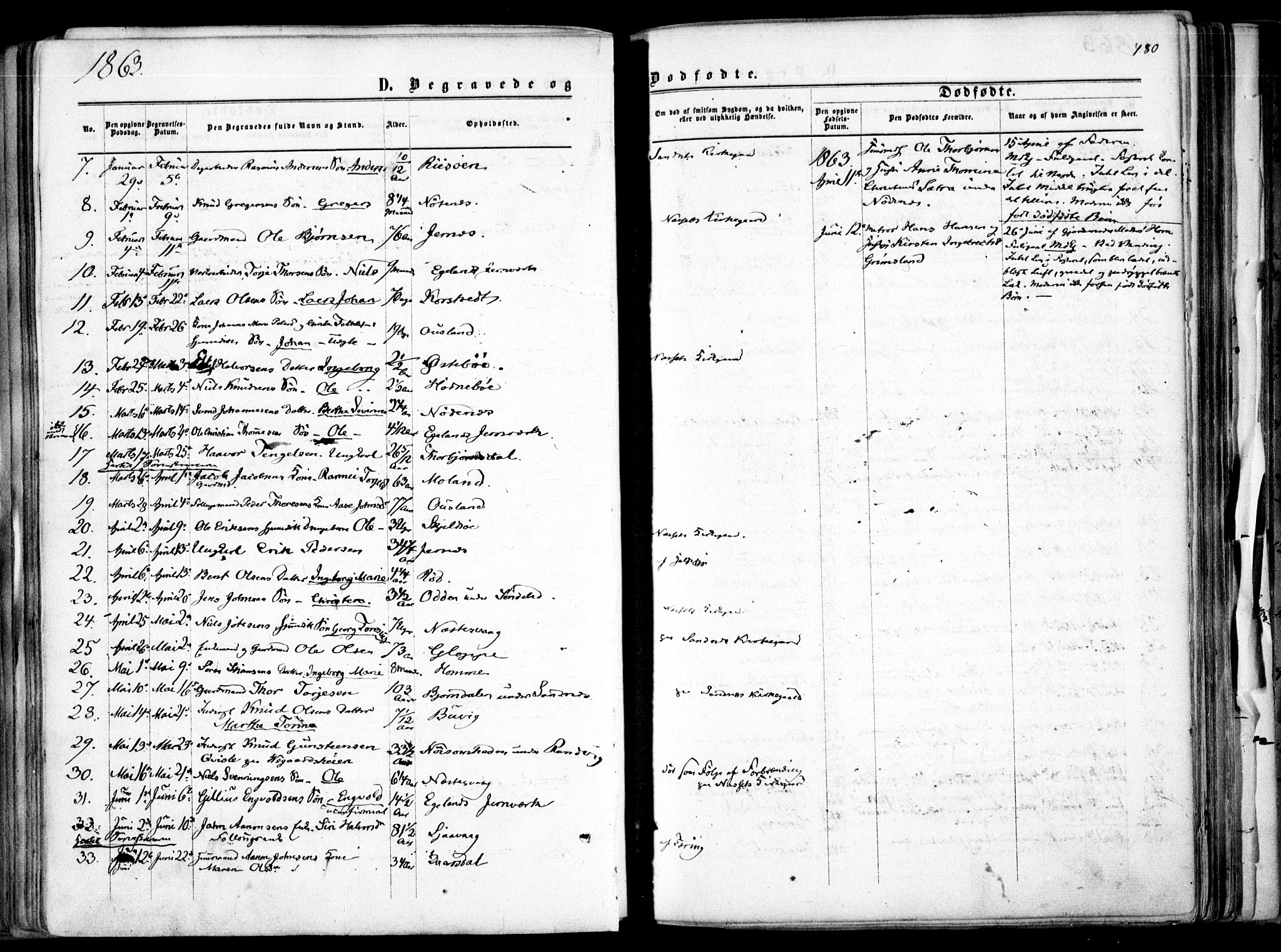 Søndeled sokneprestkontor, SAK/1111-0038/F/Fa/L0003: Parish register (official) no. A 3, 1861-1879, p. 480