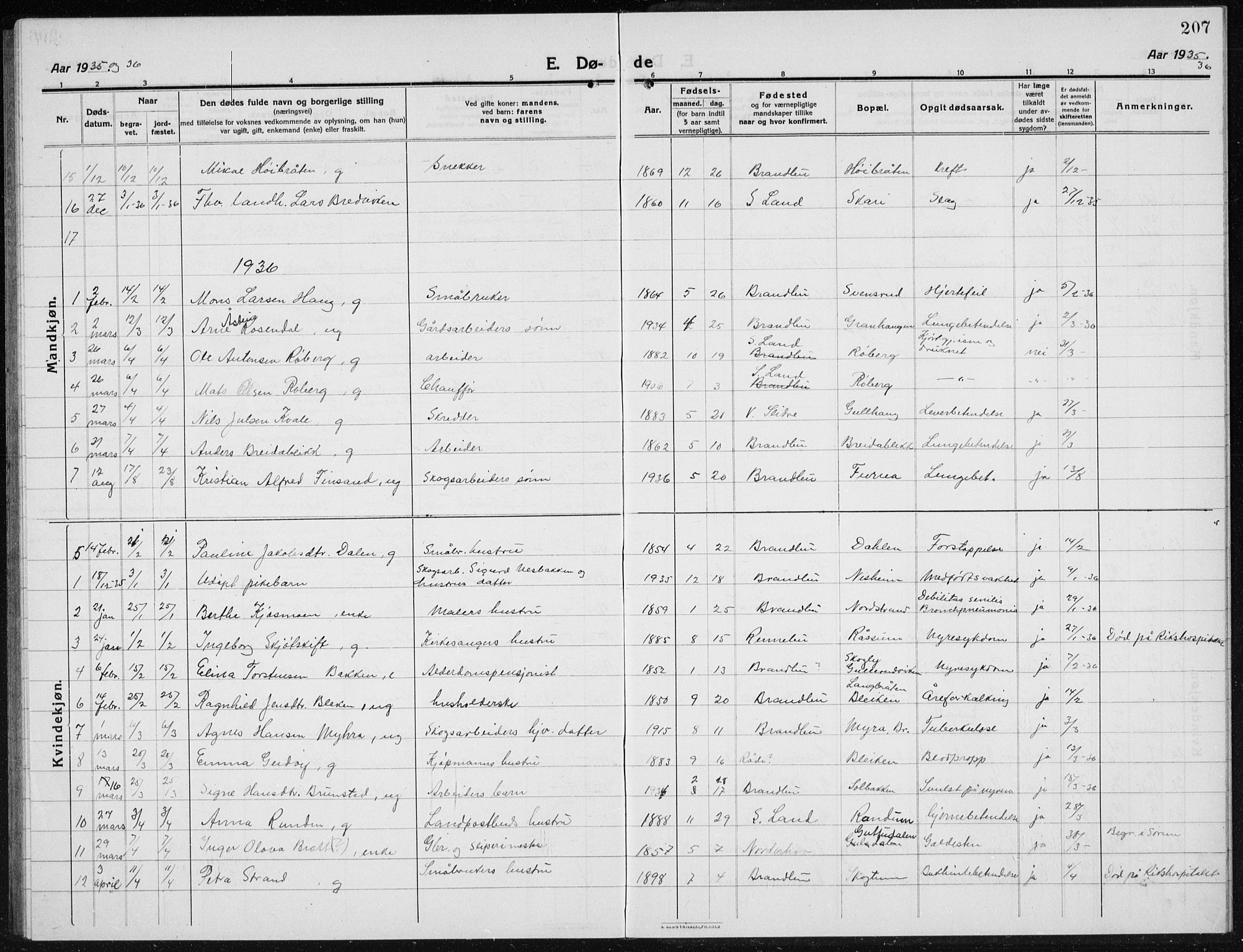 Brandbu prestekontor, SAH/PREST-114/H/Ha/Hab/L0001: Parish register (copy) no. 1, 1914-1937, p. 207