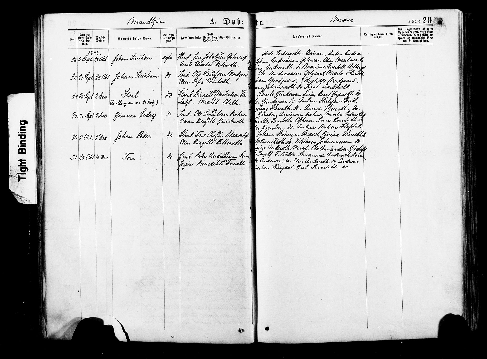 Ministerialprotokoller, klokkerbøker og fødselsregistre - Nord-Trøndelag, AV/SAT-A-1458/735/L0348: Parish register (official) no. 735A09 /1, 1873-1883, p. 29