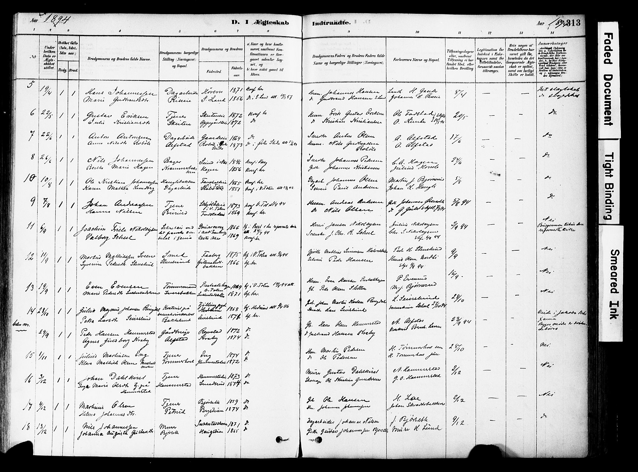 Østre Toten prestekontor, SAH/PREST-104/H/Ha/Haa/L0006: Parish register (official) no. 6 /1, 1878-1896, p. 313