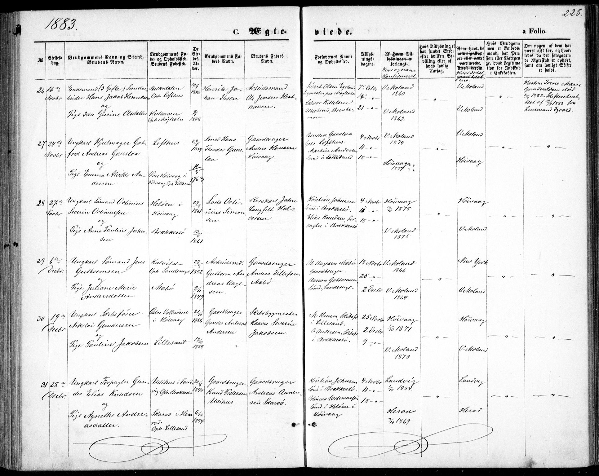 Vestre Moland sokneprestkontor, SAK/1111-0046/F/Fb/Fbb/L0005: Parish register (copy) no. B 5, 1872-1883, p. 228