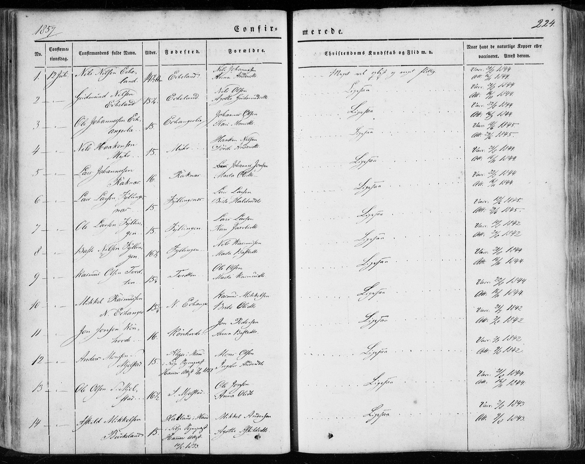 Hamre sokneprestembete, SAB/A-75501/H/Ha/Haa/Haaa/L0013: Parish register (official) no. A 13, 1846-1857, p. 224