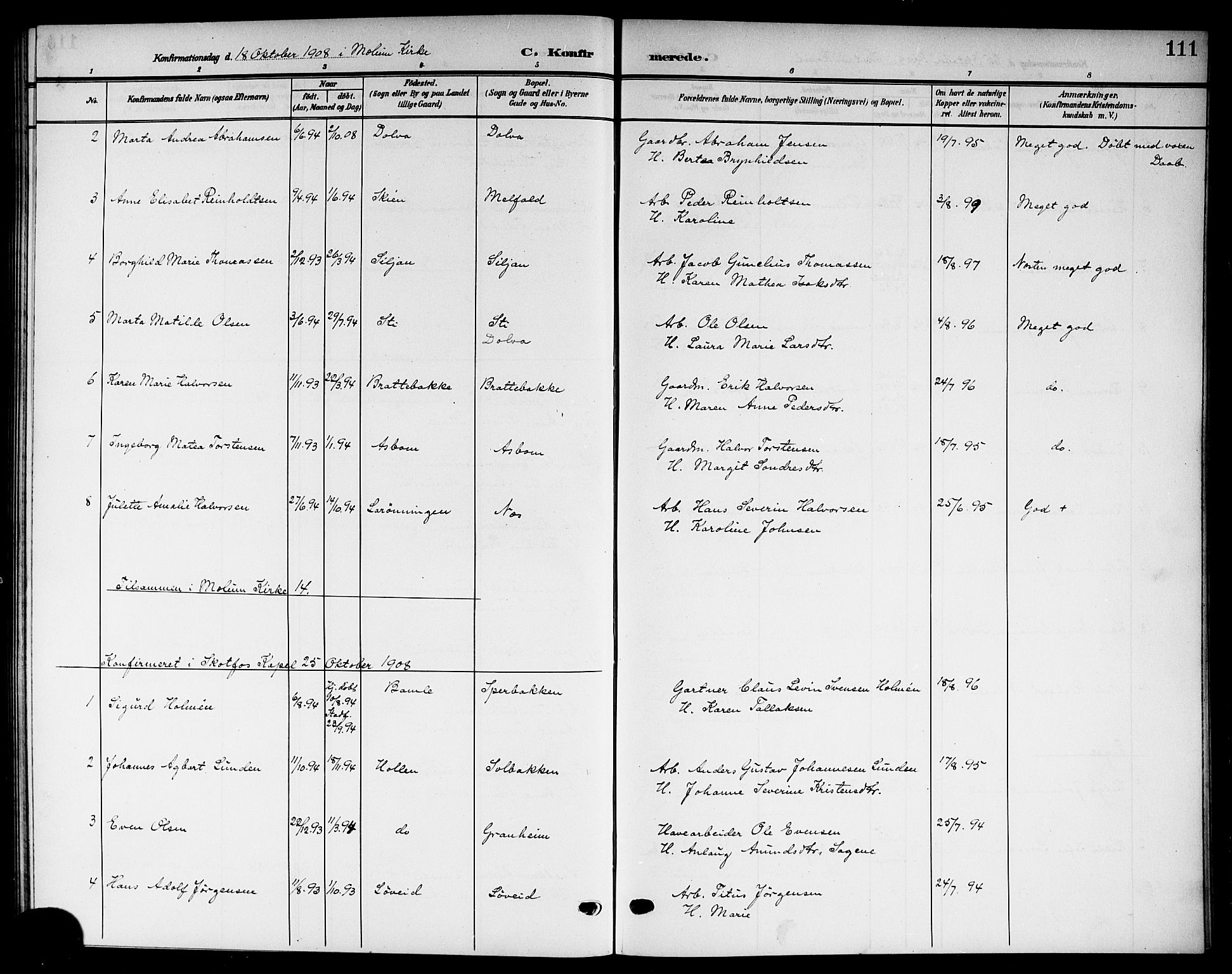 Solum kirkebøker, AV/SAKO-A-306/G/Gb/L0005: Parish register (copy) no. II 5, 1905-1914, p. 111