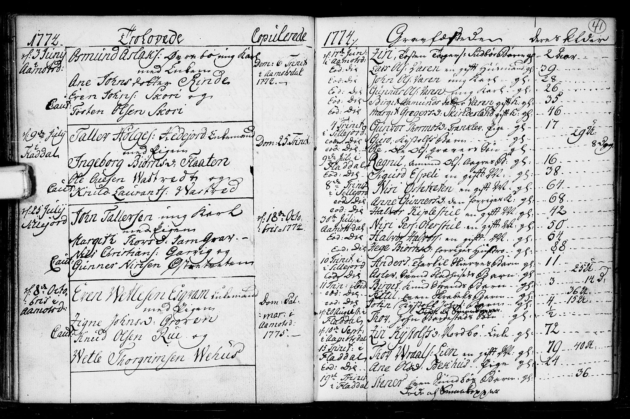 Seljord kirkebøker, AV/SAKO-A-20/F/Fa/L0008: Parish register (official) no. I 8, 1755-1814, p. 41