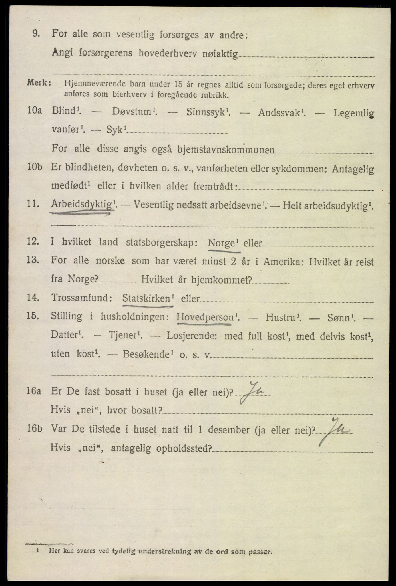 SAK, 1920 census for Hornnes, 1920, p. 2524