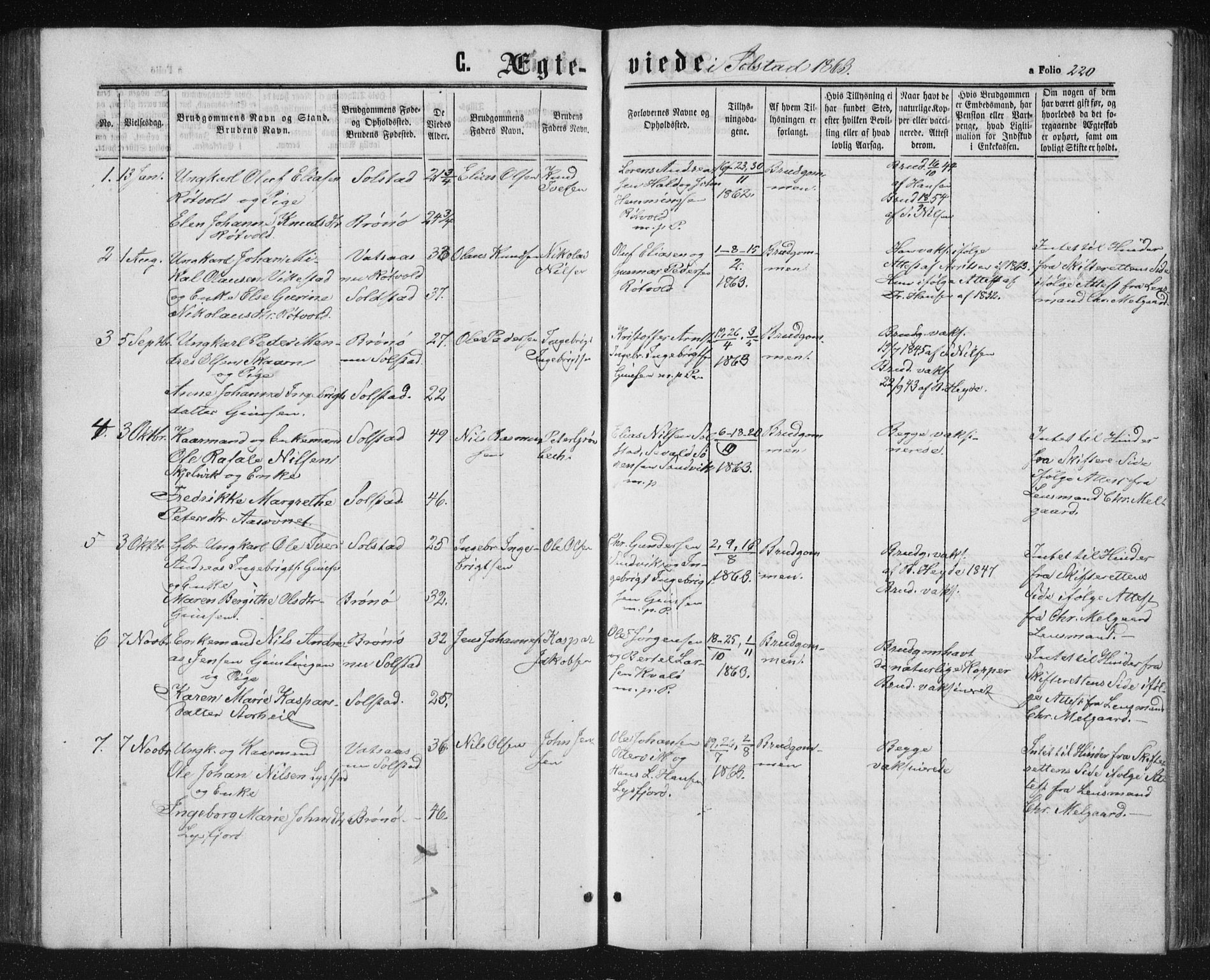 Ministerialprotokoller, klokkerbøker og fødselsregistre - Nordland, AV/SAT-A-1459/810/L0159: Parish register (copy) no. 810C02 /2, 1863-1883, p. 220