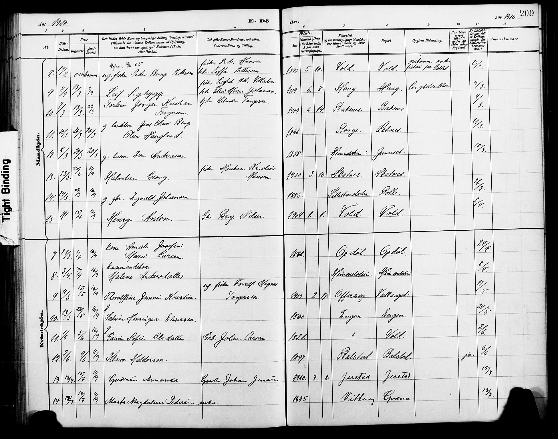 Ministerialprotokoller, klokkerbøker og fødselsregistre - Nordland, AV/SAT-A-1459/881/L1168: Parish register (copy) no. 881C05, 1900-1911, p. 209