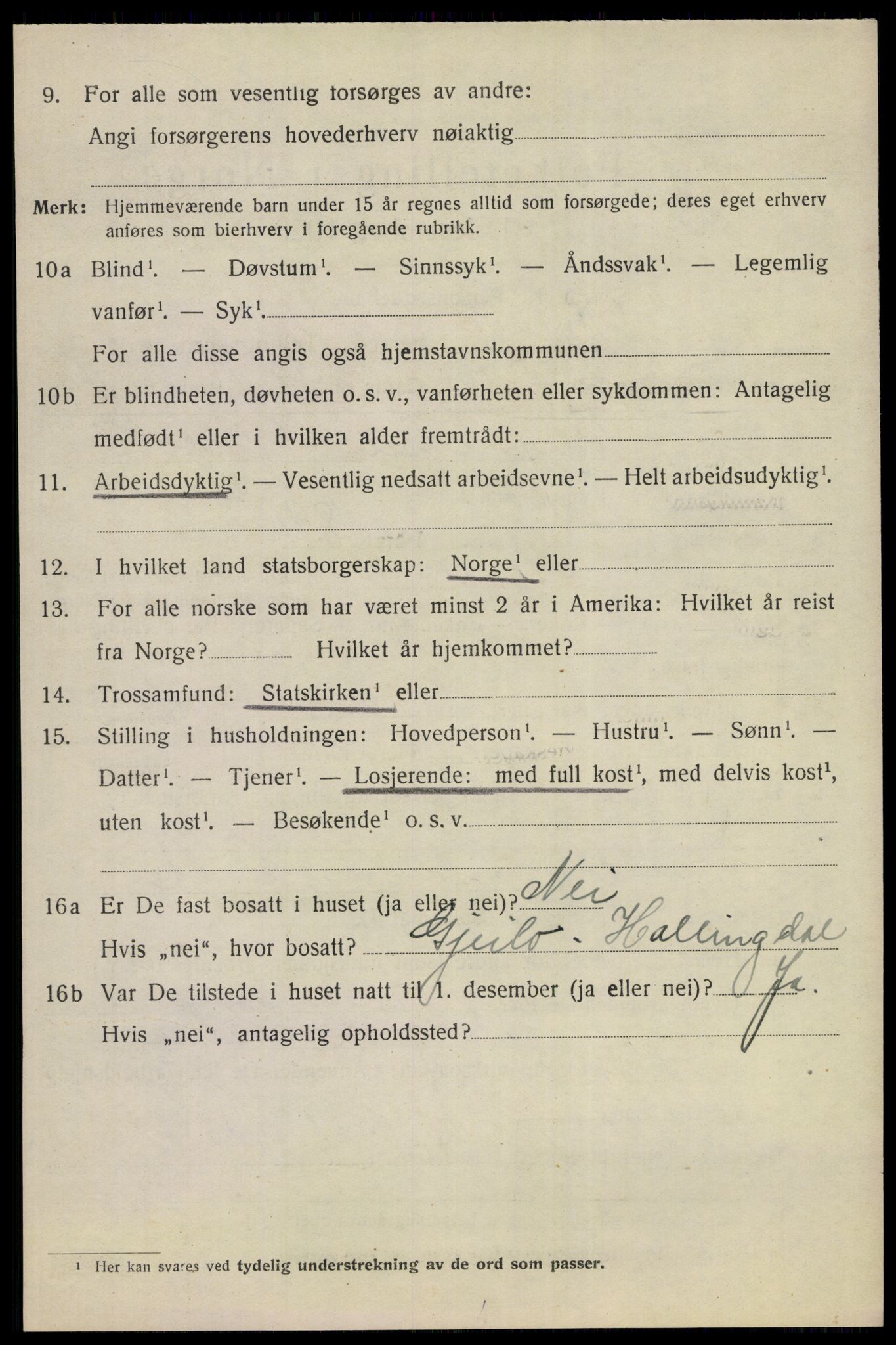 SAKO, 1920 census for Nes (Buskerud), 1920, p. 4353