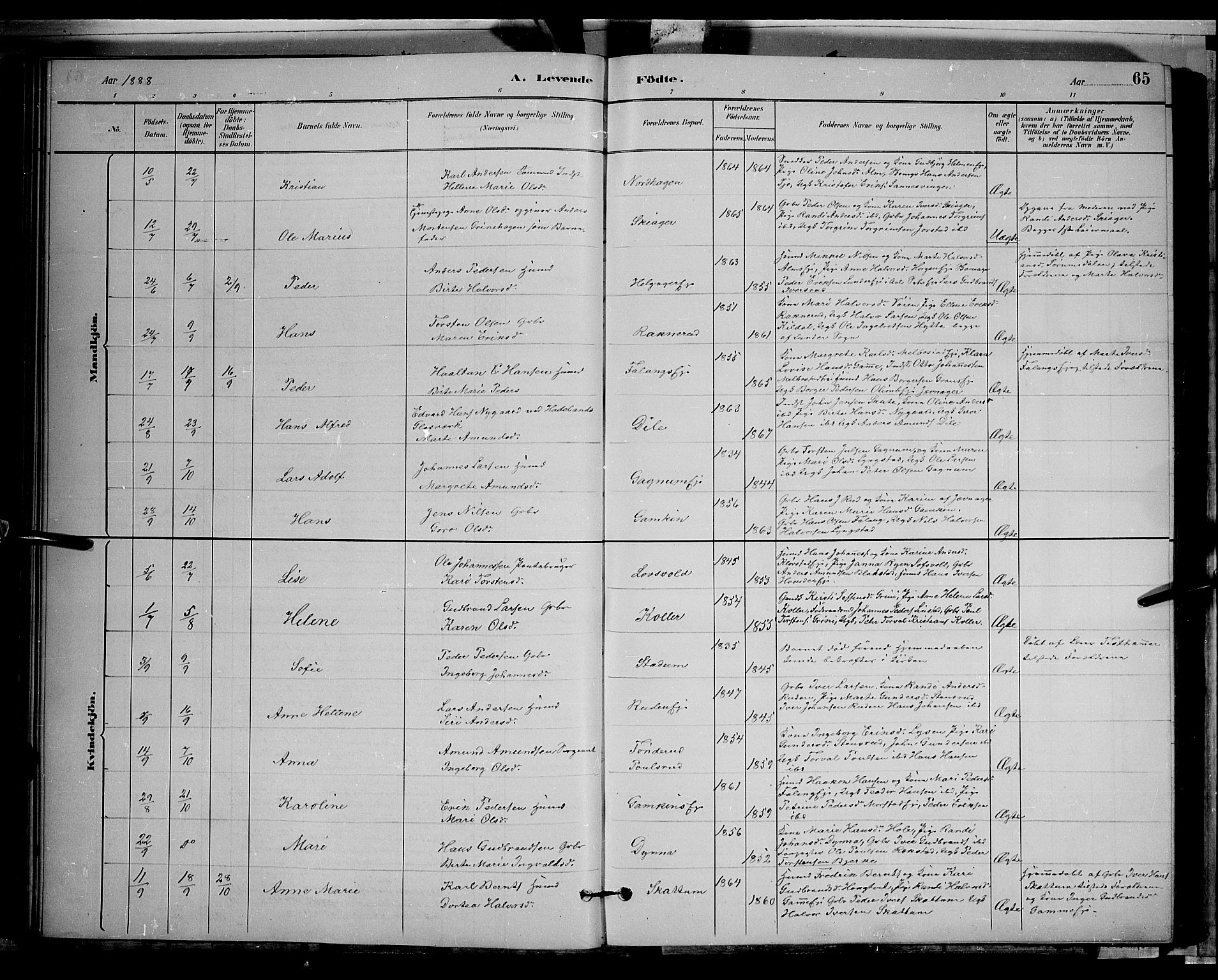 Gran prestekontor, AV/SAH-PREST-112/H/Ha/Hab/L0002: Parish register (copy) no. 2, 1879-1892, p. 65