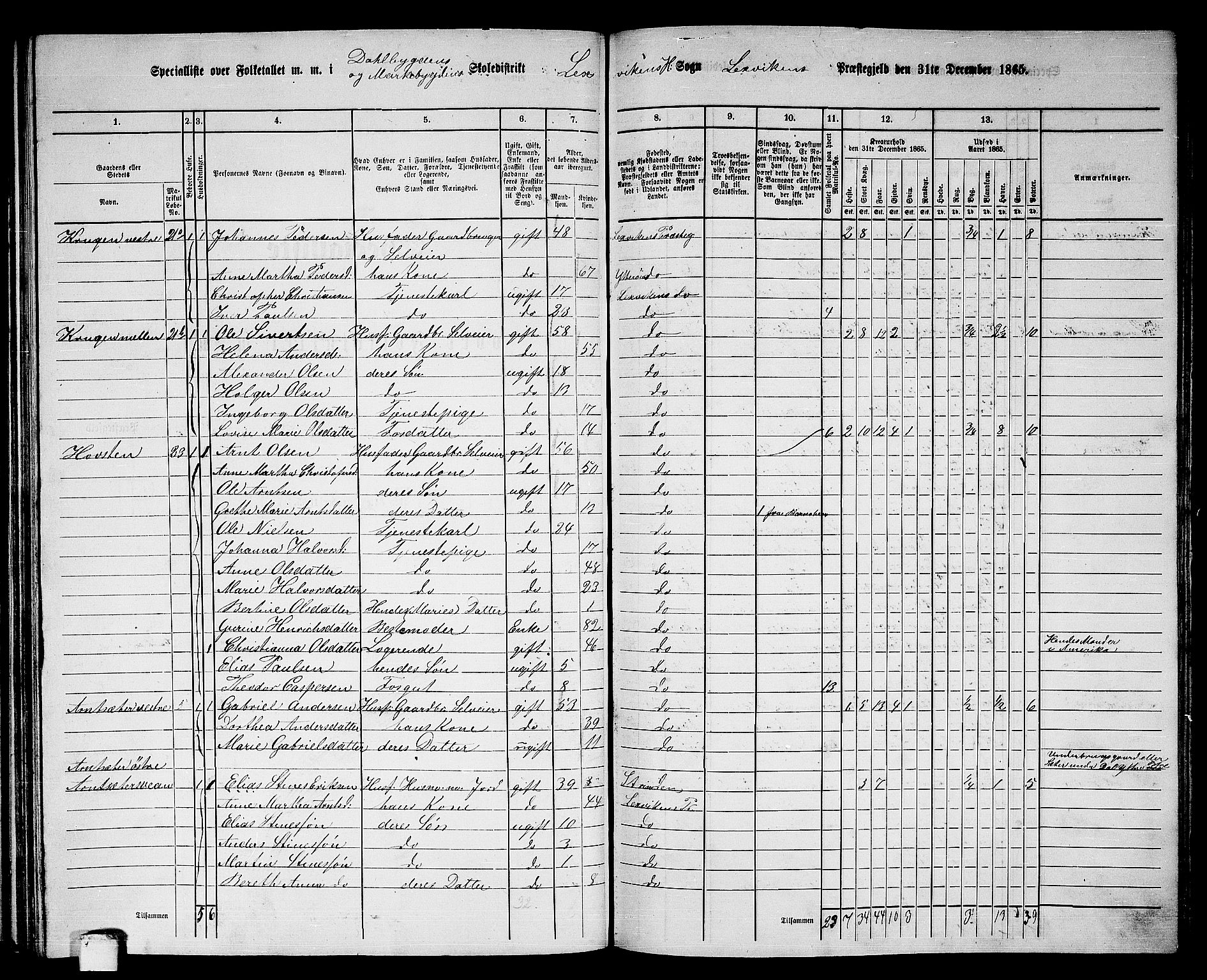 RA, 1865 census for Leksvik, 1865, p. 113