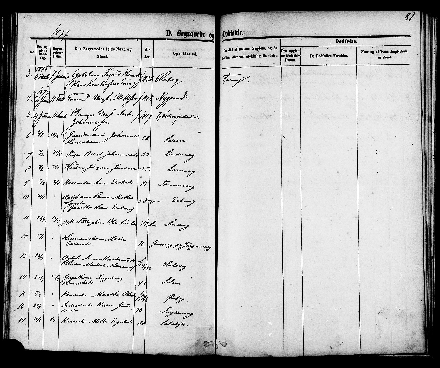 Ministerialprotokoller, klokkerbøker og fødselsregistre - Møre og Romsdal, AV/SAT-A-1454/577/L0895: Parish register (official) no. 577A02, 1875-1879, p. 81