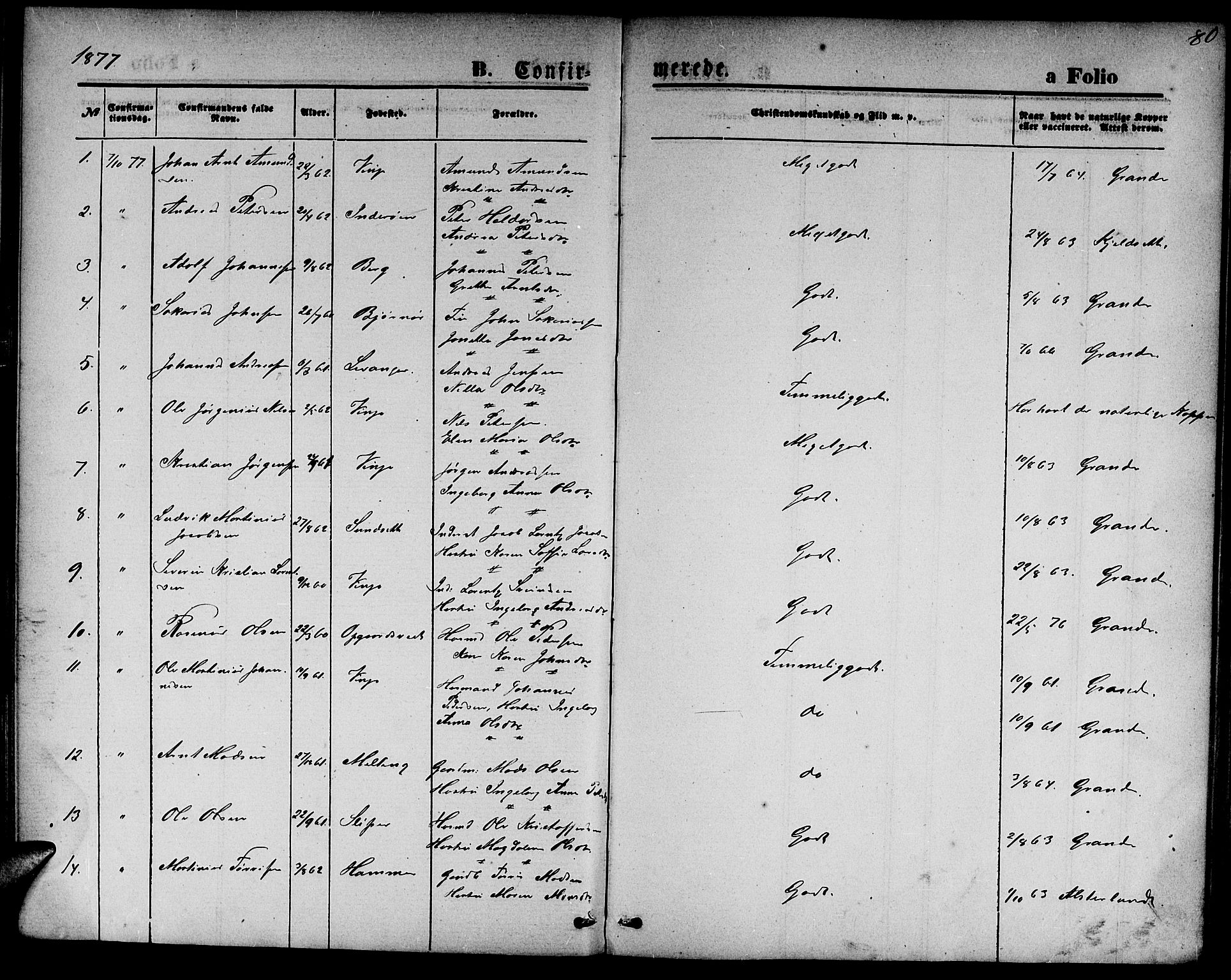 Ministerialprotokoller, klokkerbøker og fødselsregistre - Nord-Trøndelag, SAT/A-1458/733/L0326: Parish register (copy) no. 733C01, 1871-1887, p. 80