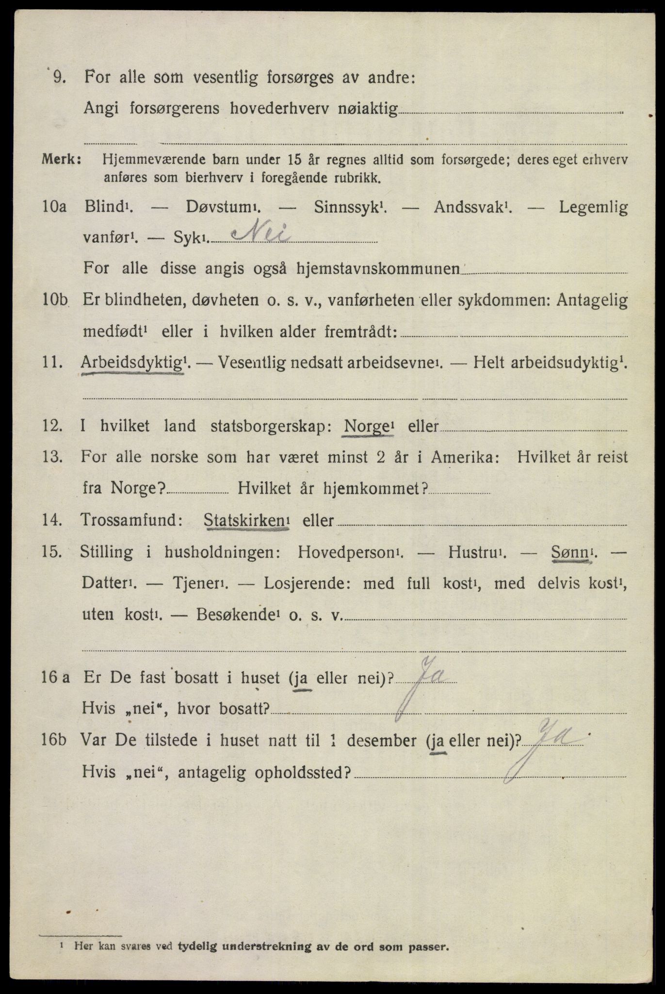 SAKO, 1920 census for Hole, 1920, p. 2728