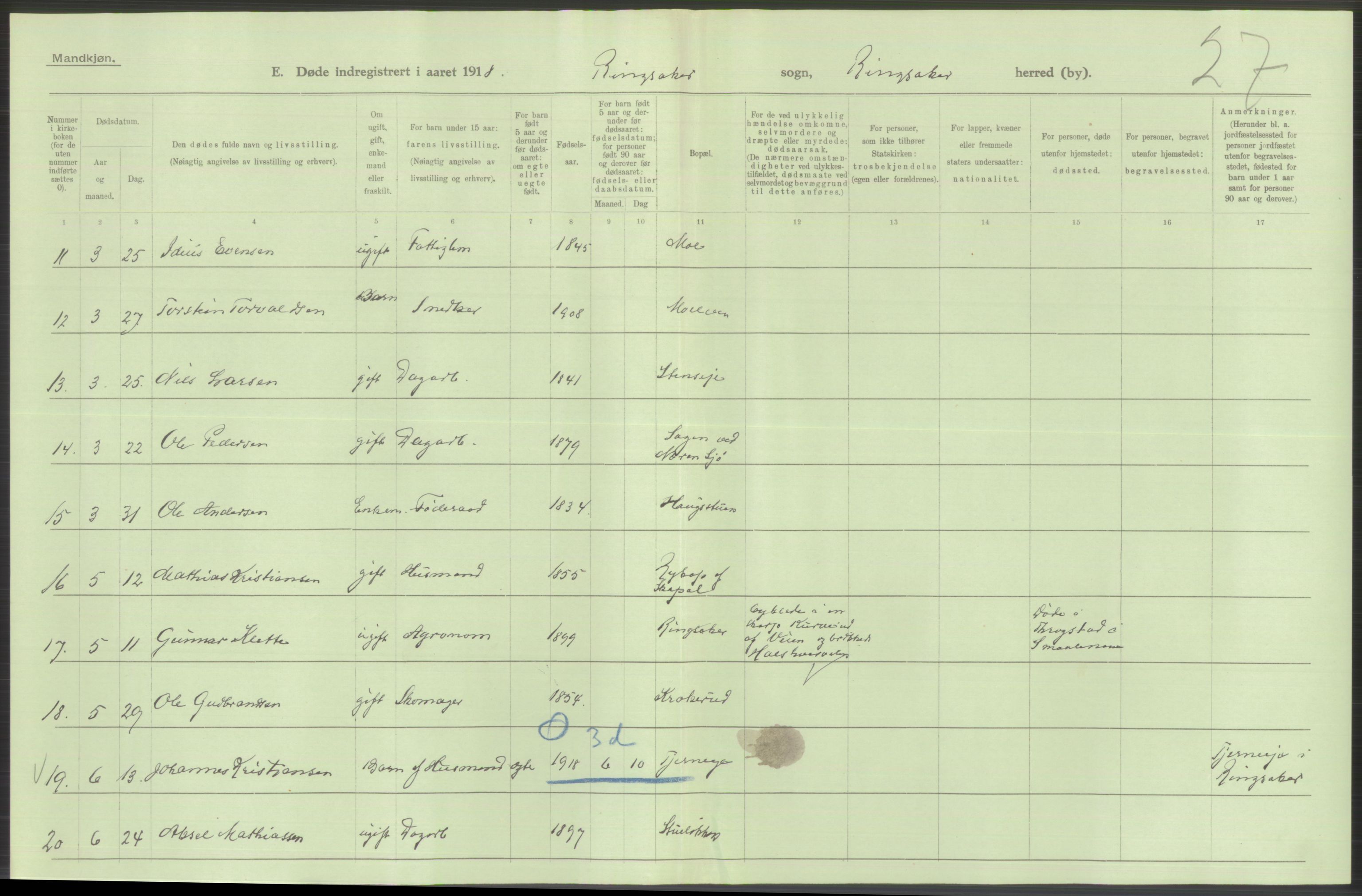 Statistisk sentralbyrå, Sosiodemografiske emner, Befolkning, RA/S-2228/D/Df/Dfb/Dfbh/L0014: Hedemarkens fylke: Døde. Bygder og byer., 1918, p. 348