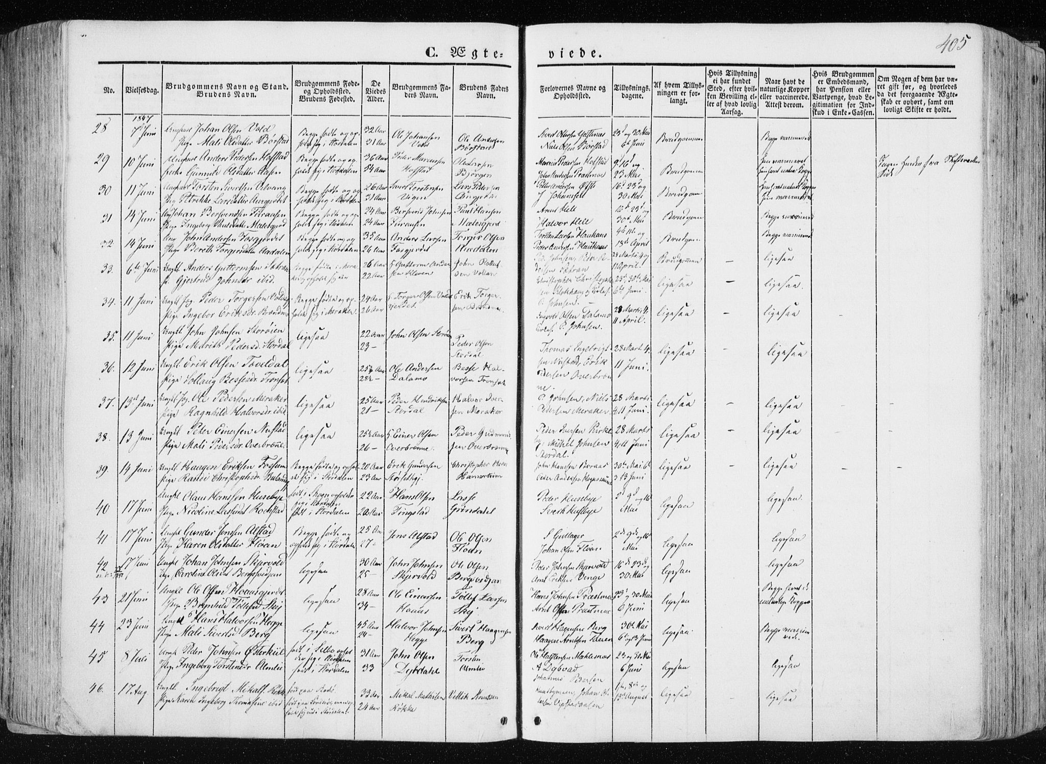 Ministerialprotokoller, klokkerbøker og fødselsregistre - Nord-Trøndelag, AV/SAT-A-1458/709/L0074: Parish register (official) no. 709A14, 1845-1858, p. 405