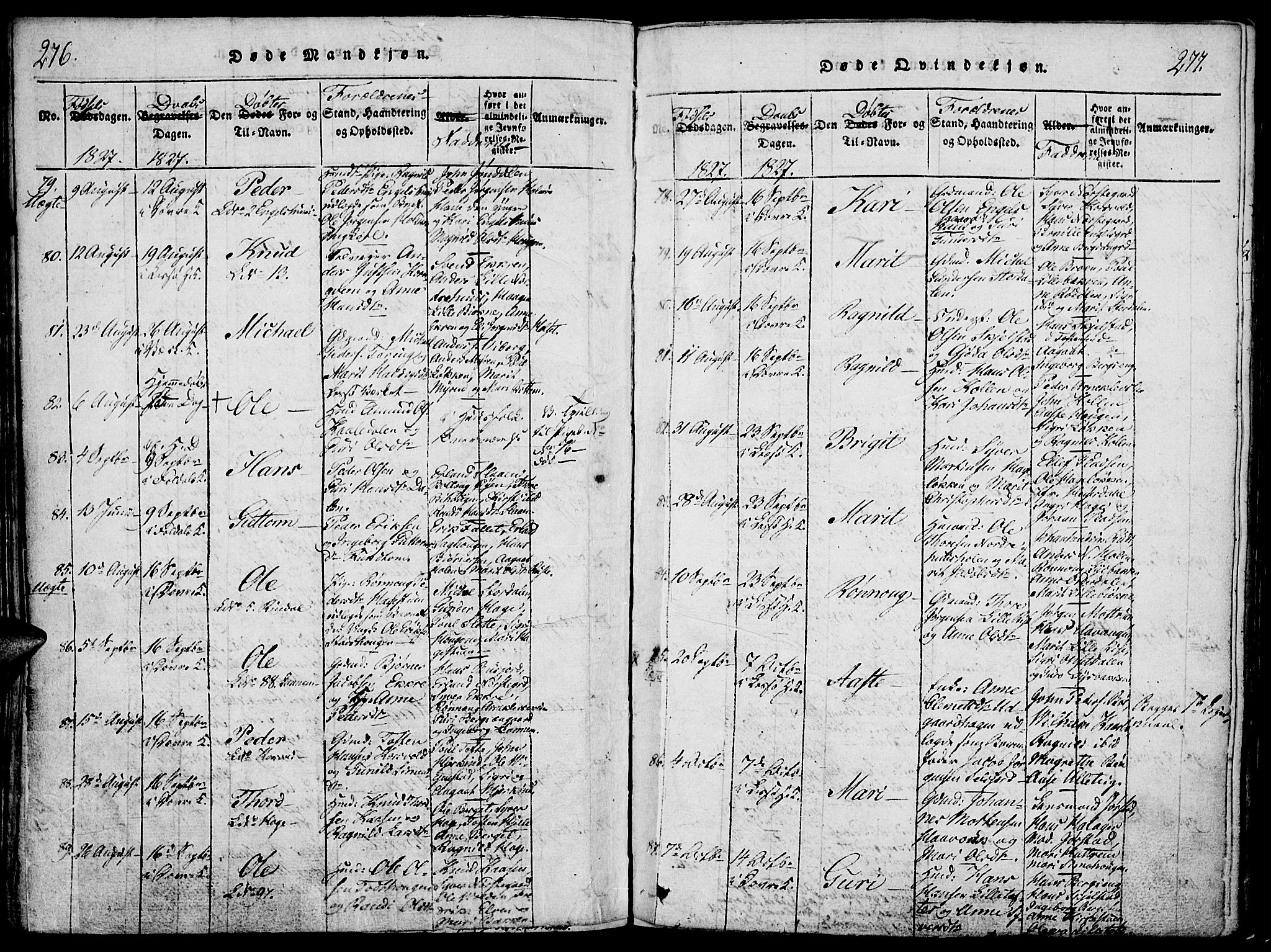 Lesja prestekontor, SAH/PREST-068/H/Ha/Haa/L0004: Parish register (official) no. 4, 1820-1829, p. 276-277