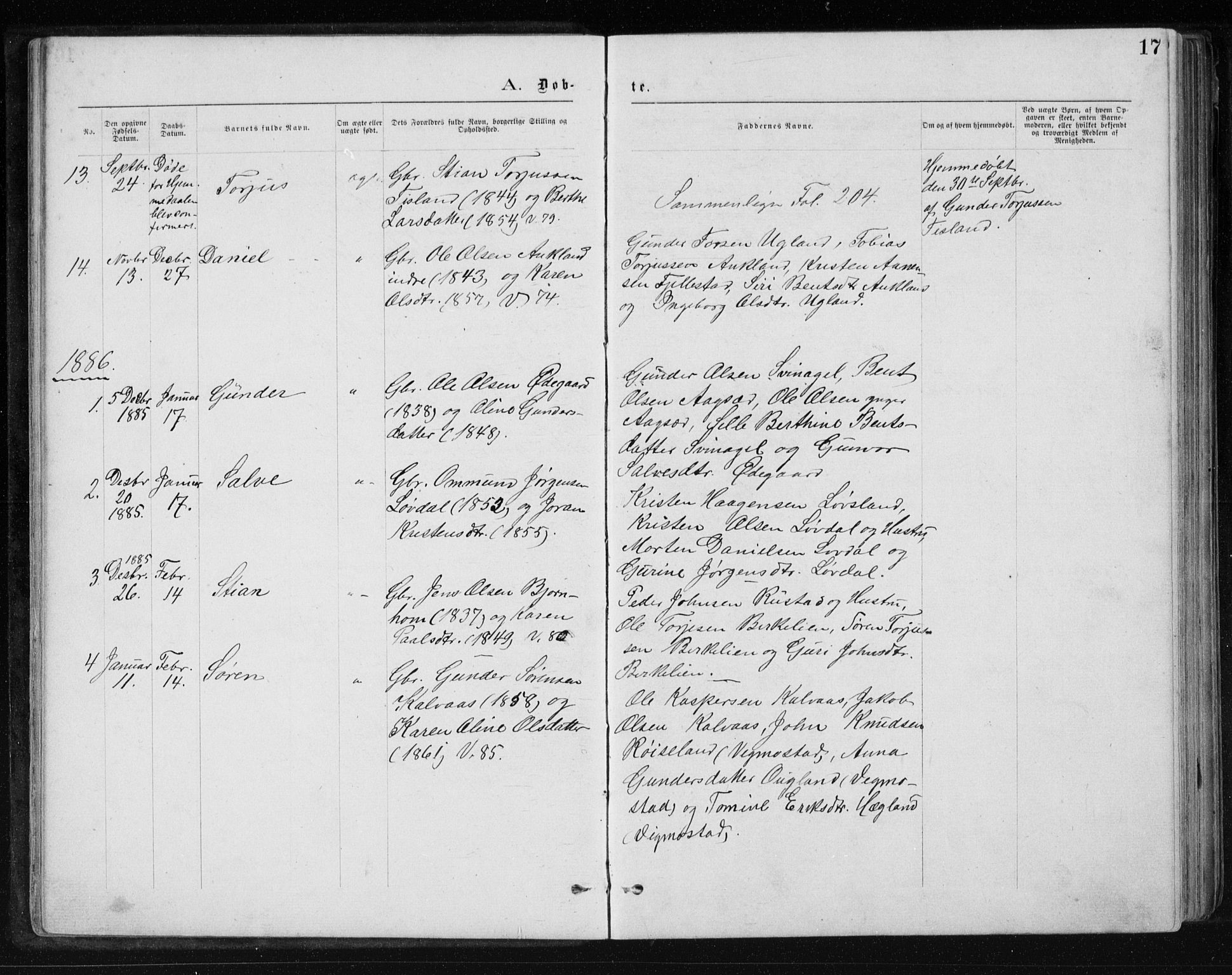 Holum sokneprestkontor, AV/SAK-1111-0022/F/Fb/Fbb/L0003: Parish register (copy) no. B 3, 1875-1898, p. 17