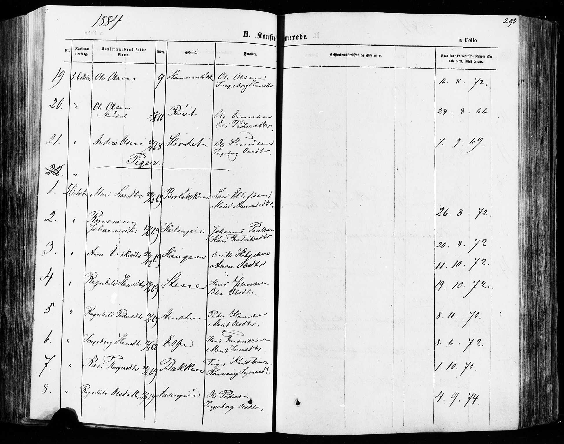 Vågå prestekontor, SAH/PREST-076/H/Ha/Haa/L0007: Parish register (official) no. 7 /1, 1872-1886, p. 293