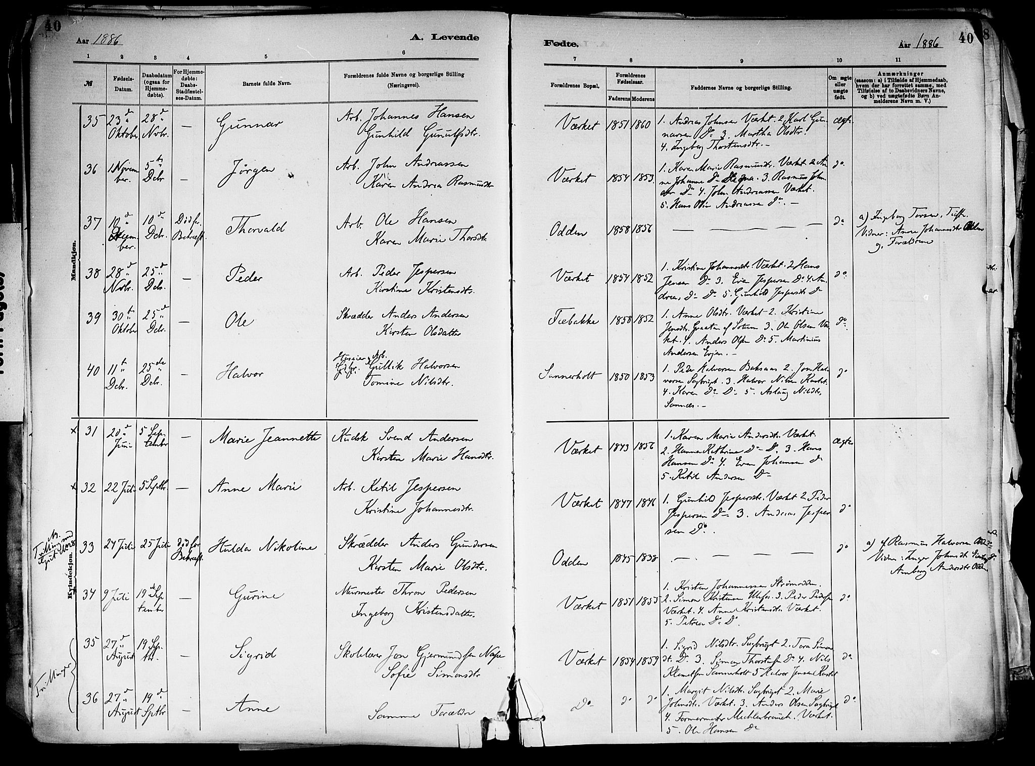 Holla kirkebøker, AV/SAKO-A-272/F/Fa/L0008: Parish register (official) no. 8, 1882-1897, p. 40