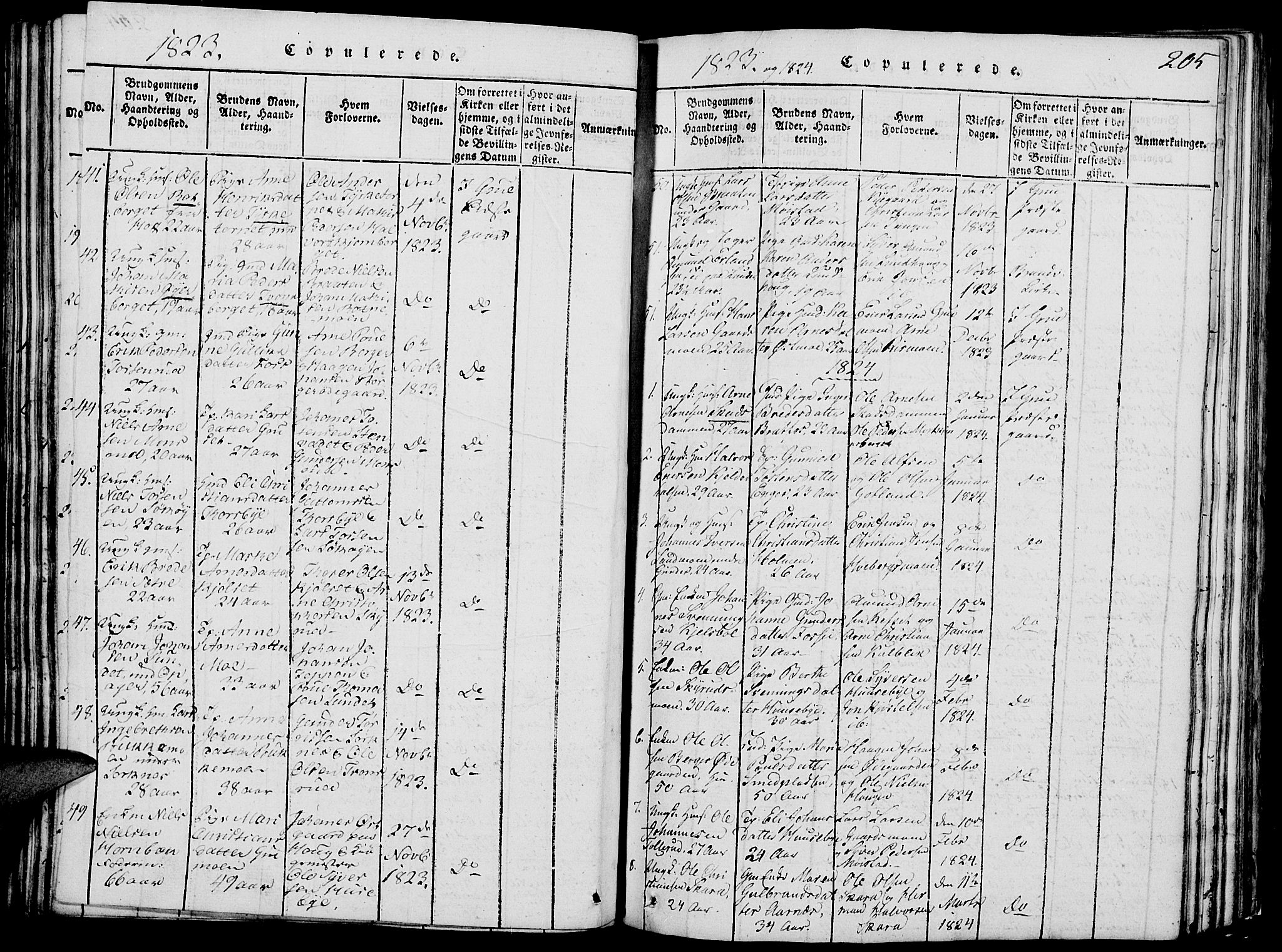 Grue prestekontor, SAH/PREST-036/H/Ha/Hab/L0002: Parish register (copy) no. 2, 1815-1841, p. 205