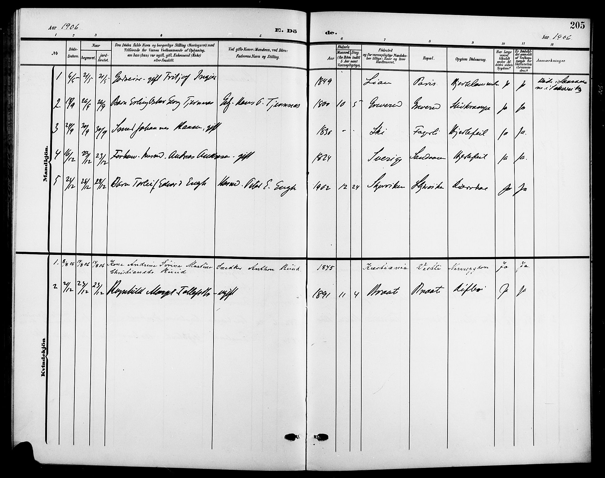 Nesodden prestekontor Kirkebøker, SAO/A-10013/G/Gb/L0001: Parish register (copy) no. II 1, 1905-1924, p. 205