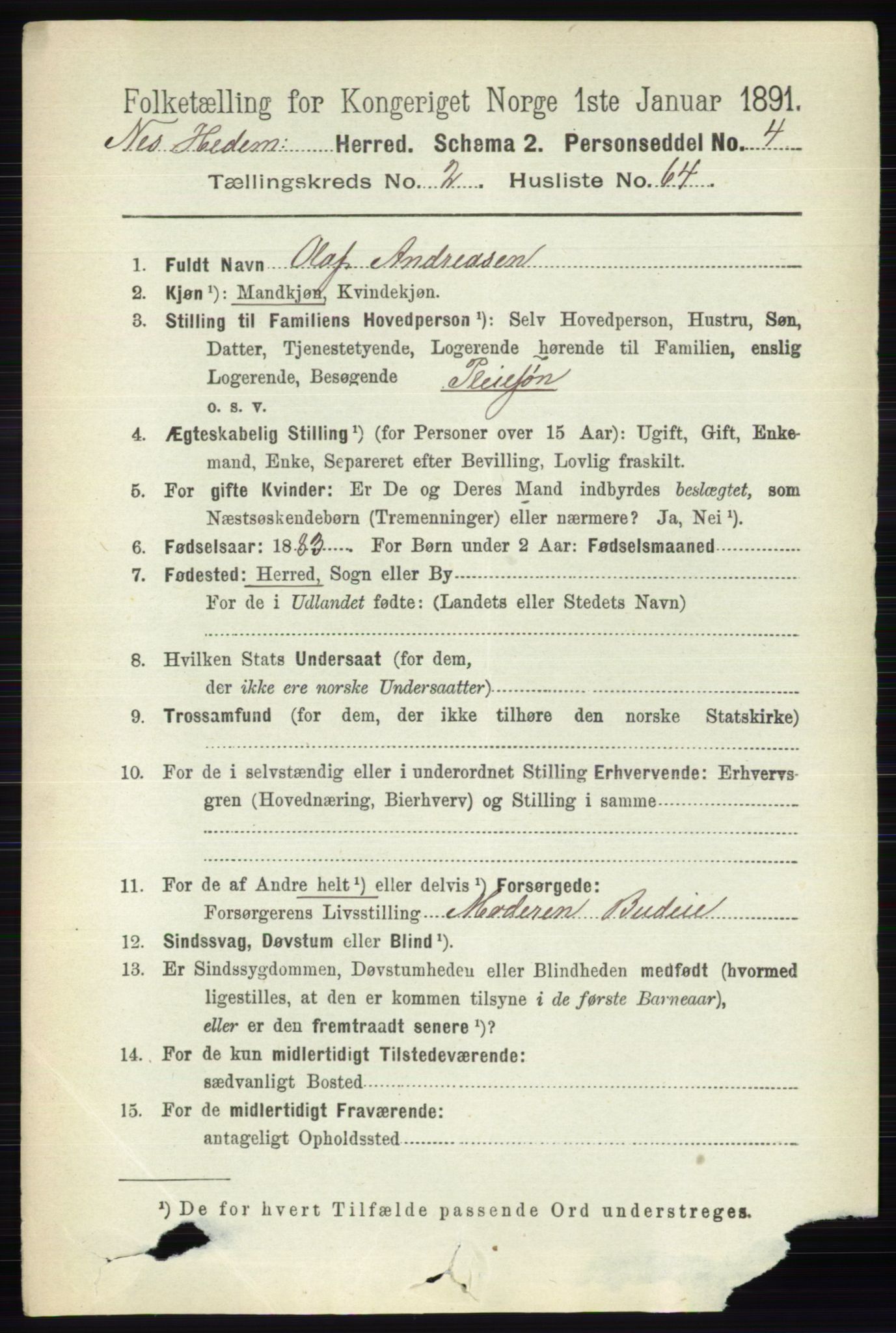 RA, 1891 census for 0411 Nes, 1891, p. 1518