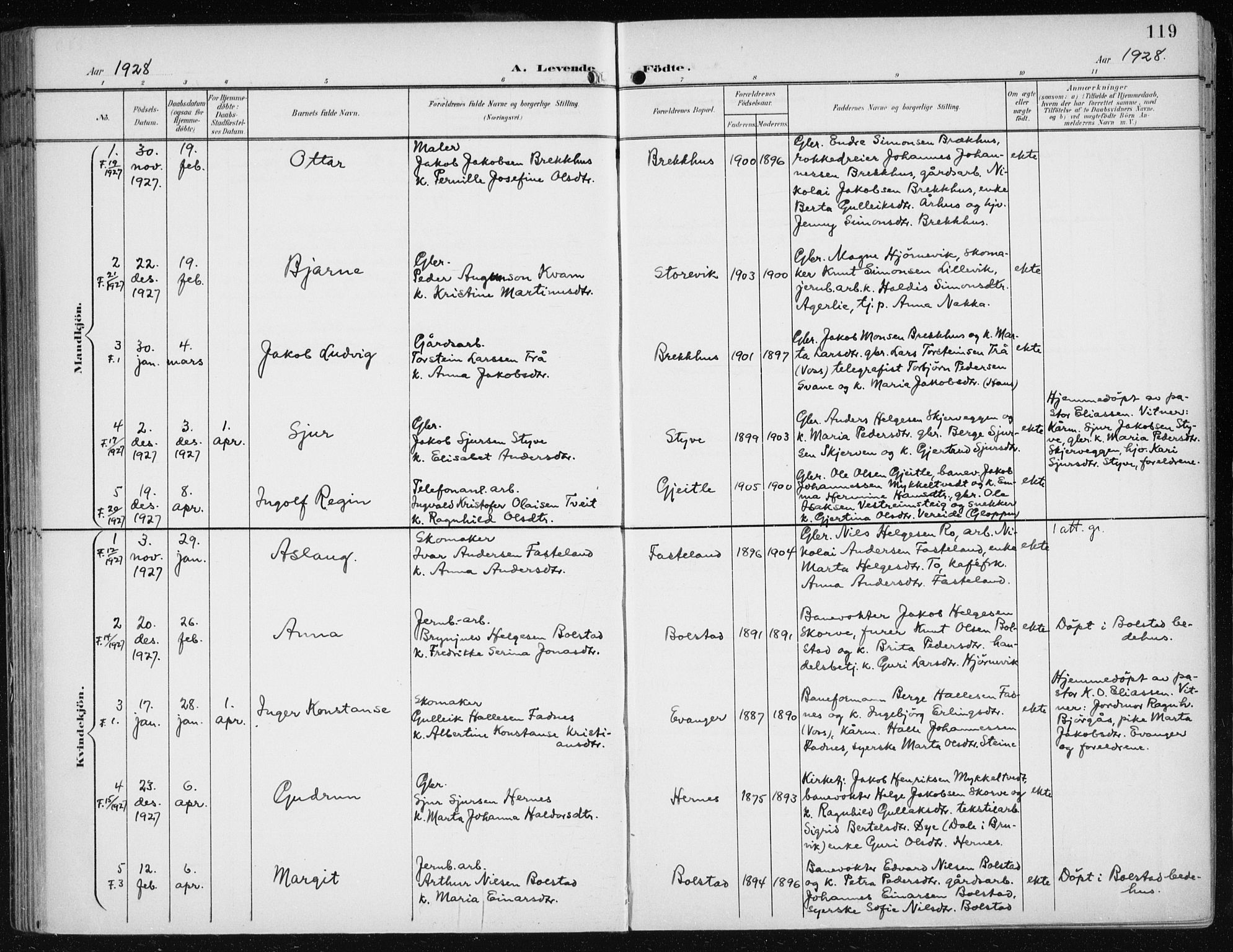 Evanger sokneprestembete, AV/SAB-A-99924: Parish register (official) no. A  3, 1900-1930, p. 119