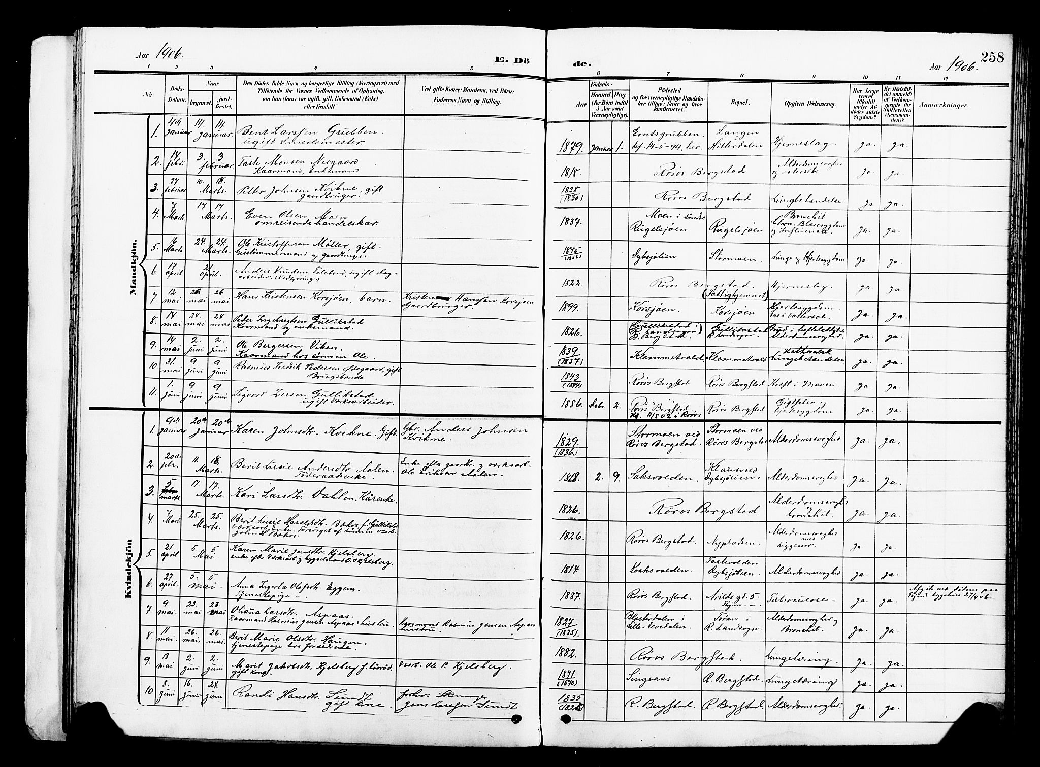 Ministerialprotokoller, klokkerbøker og fødselsregistre - Sør-Trøndelag, SAT/A-1456/681/L0942: Parish register (copy) no. 681C06, 1906-1925, p. 258