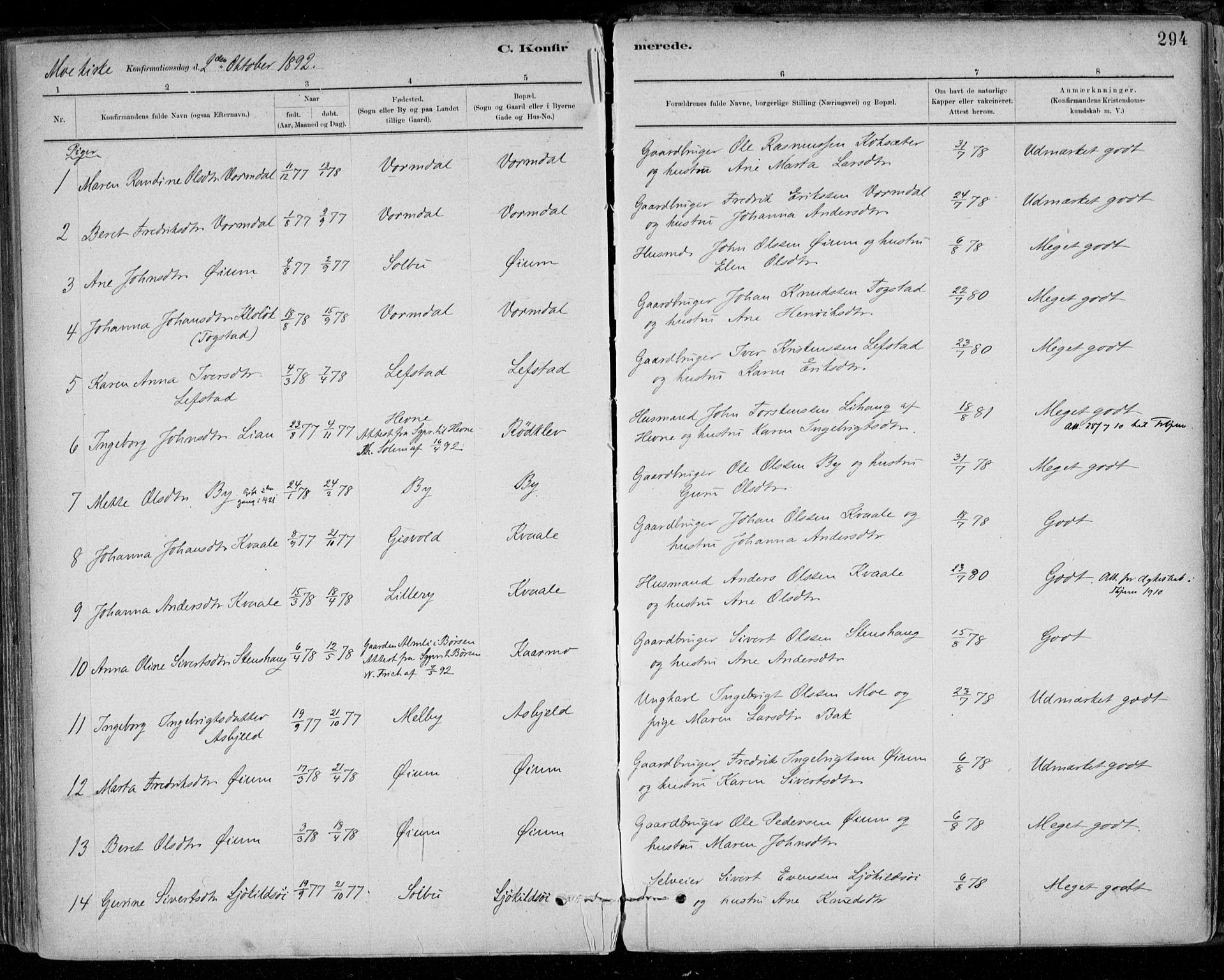 Ministerialprotokoller, klokkerbøker og fødselsregistre - Sør-Trøndelag, SAT/A-1456/668/L0809: Parish register (official) no. 668A09, 1881-1895, p. 294