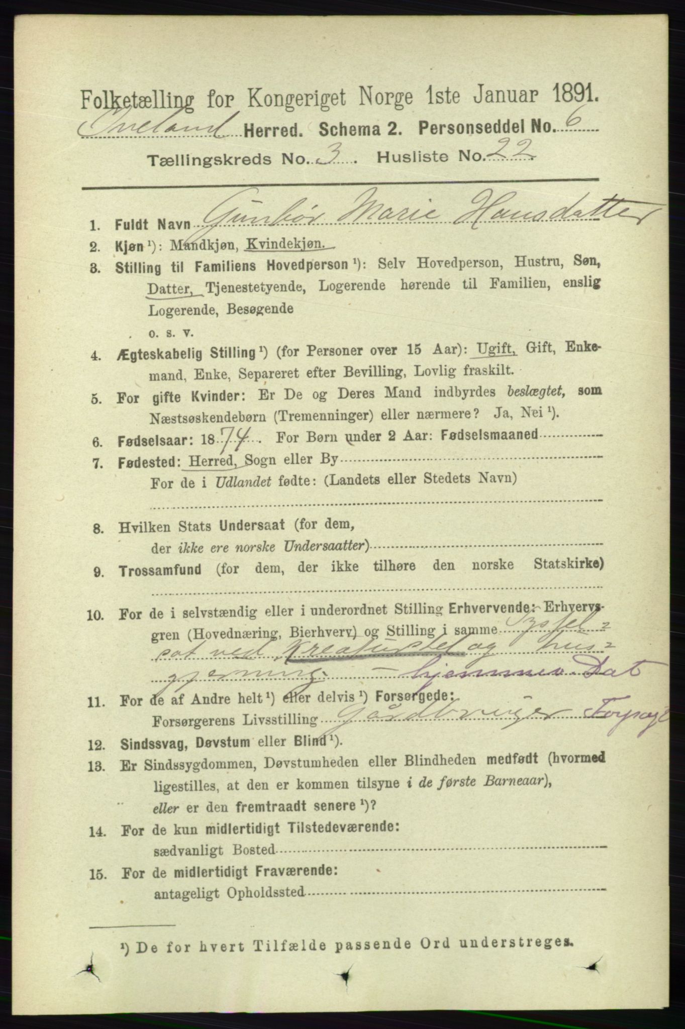 RA, 1891 census for 0935 Iveland, 1891, p. 873