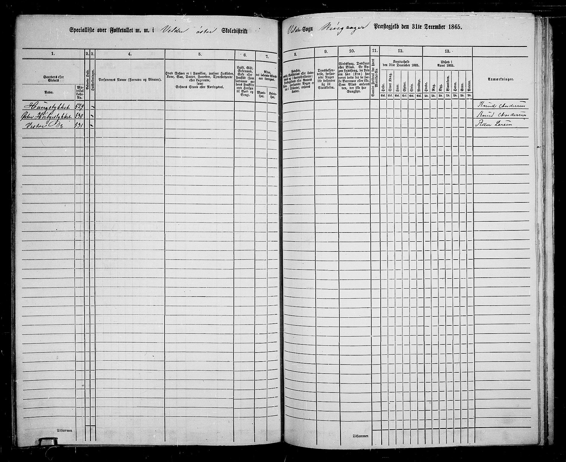 RA, 1865 census for Ringsaker, 1865, p. 200