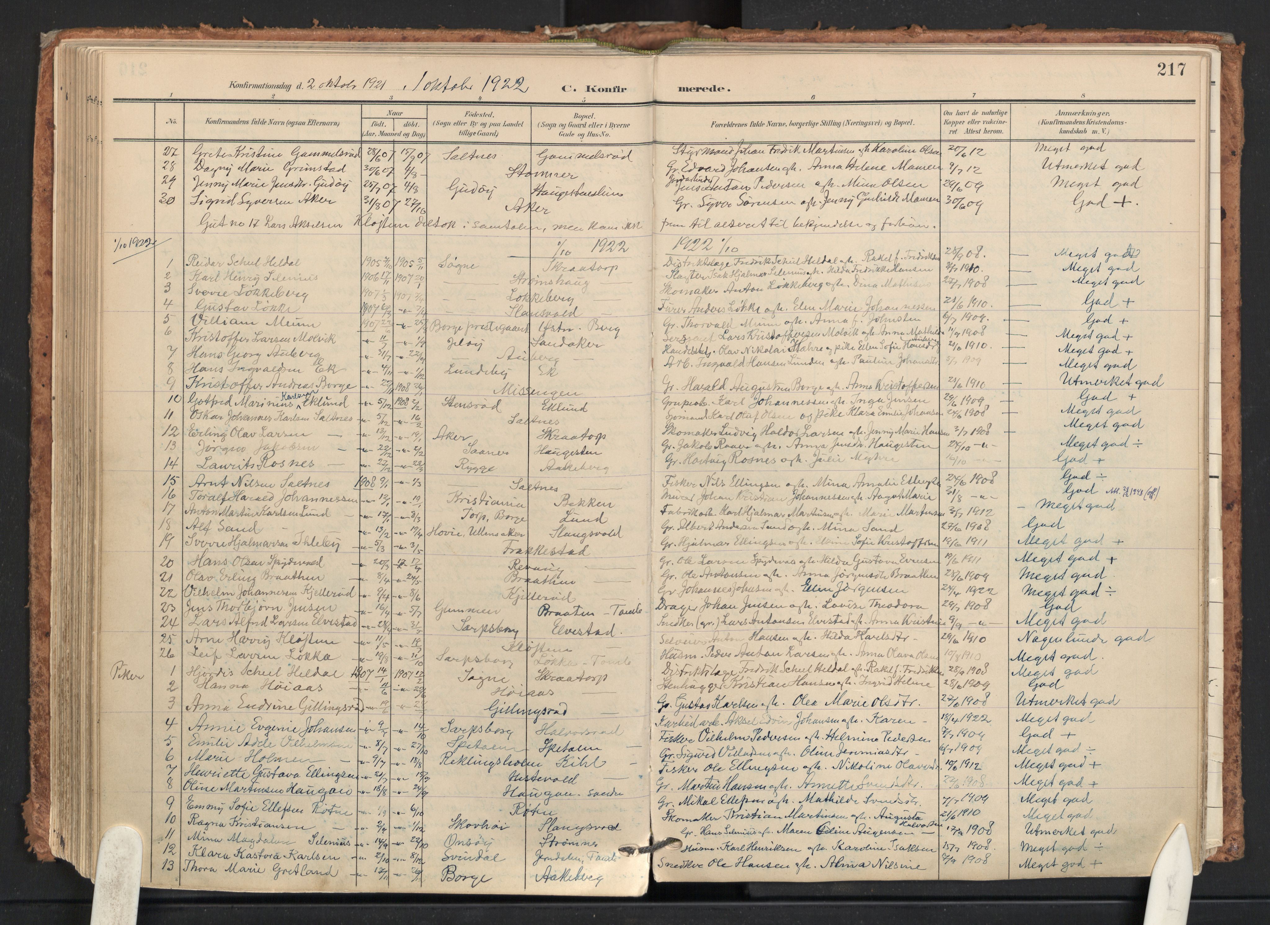 Råde prestekontor kirkebøker, SAO/A-2009/F/Fa/L0008: Parish register (official) no. 8, 1903-1924, p. 217