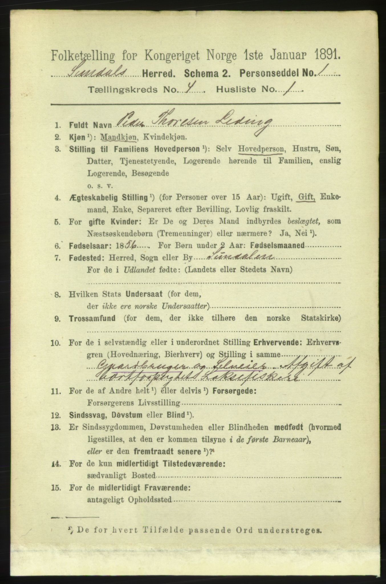 RA, 1891 census for 1563 Sunndal, 1891, p. 906