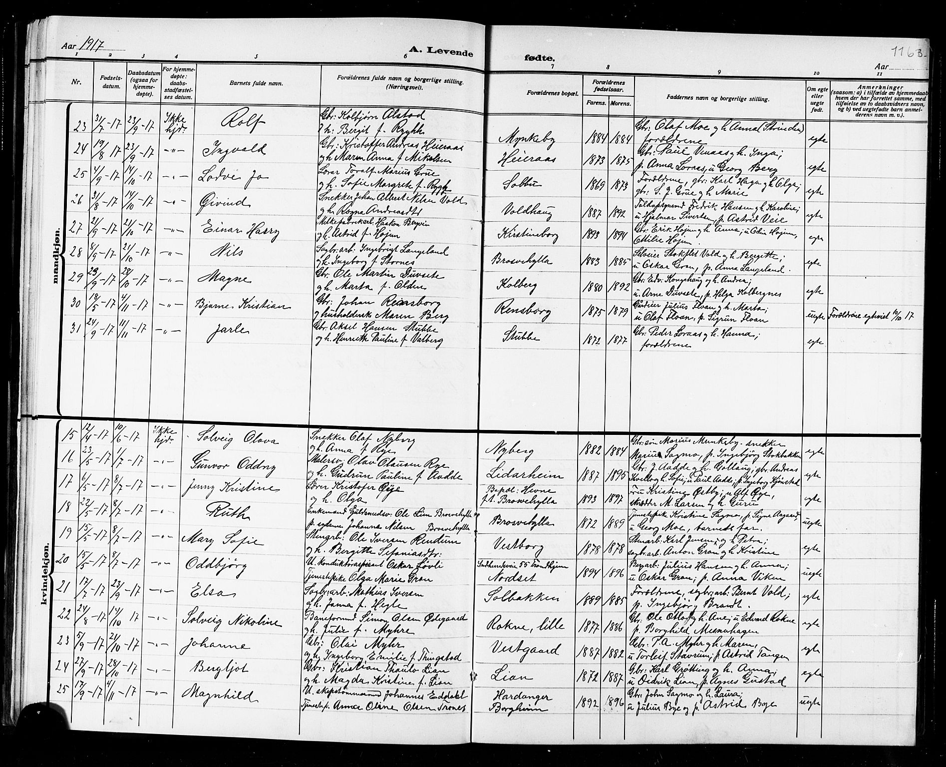 Ministerialprotokoller, klokkerbøker og fødselsregistre - Nord-Trøndelag, SAT/A-1458/721/L0208: Parish register (copy) no. 721C01, 1880-1917, p. 96v