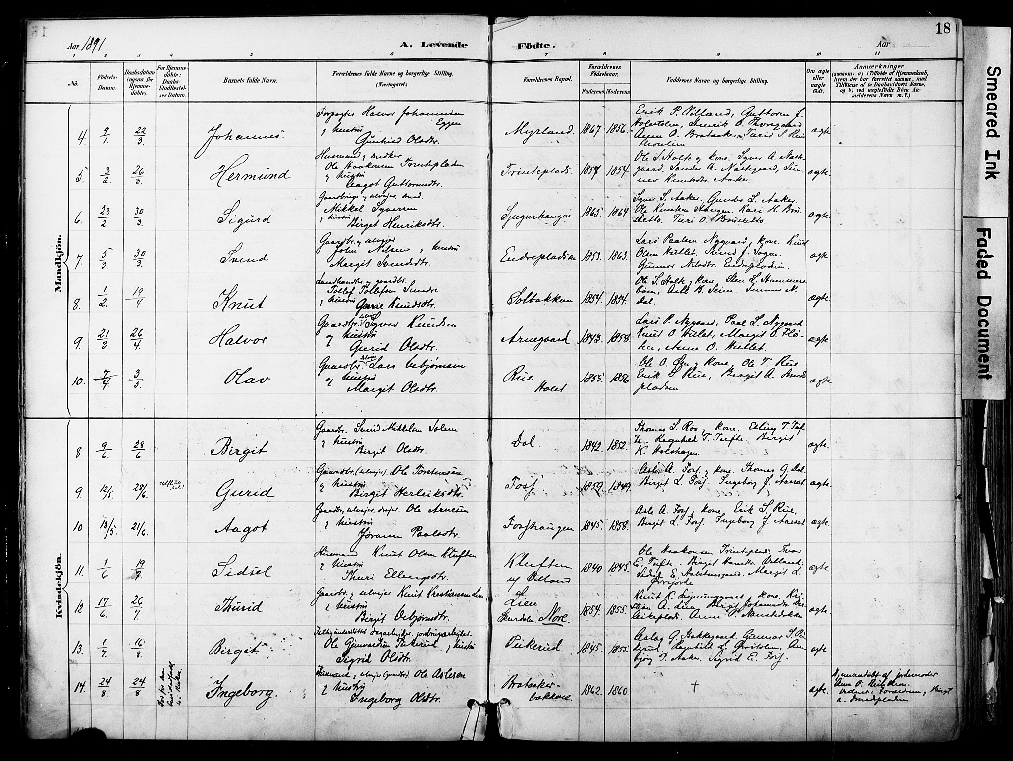 Hol kirkebøker, AV/SAKO-A-227/F/Fa/L0003: Parish register (official) no. I 3, 1887-1918, p. 18