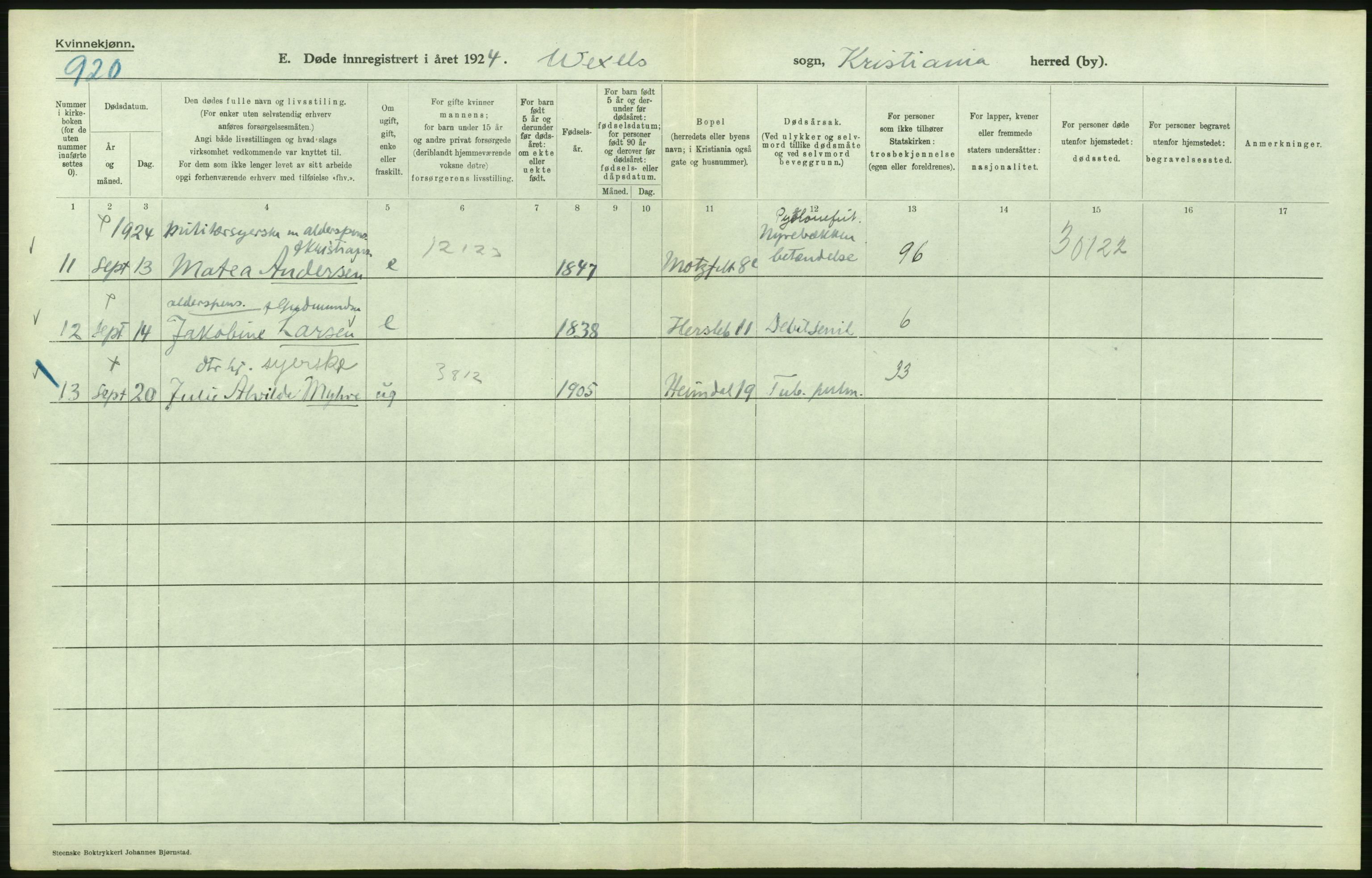 Statistisk sentralbyrå, Sosiodemografiske emner, Befolkning, AV/RA-S-2228/D/Df/Dfc/Dfcd/L0009: Kristiania: Døde kvinner, dødfødte, 1924, p. 508