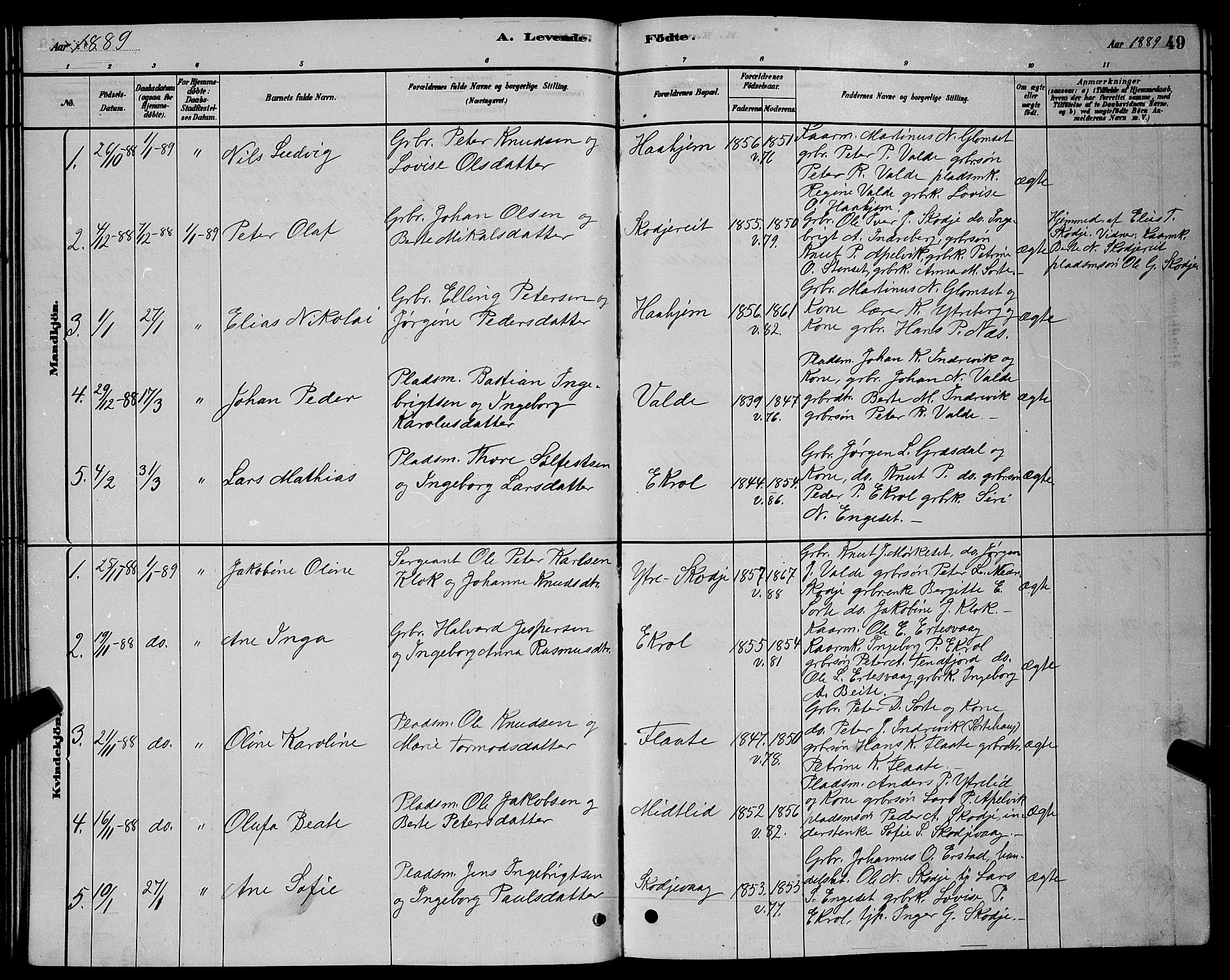 Ministerialprotokoller, klokkerbøker og fødselsregistre - Møre og Romsdal, AV/SAT-A-1454/524/L0365: Parish register (copy) no. 524C06, 1880-1899, p. 49