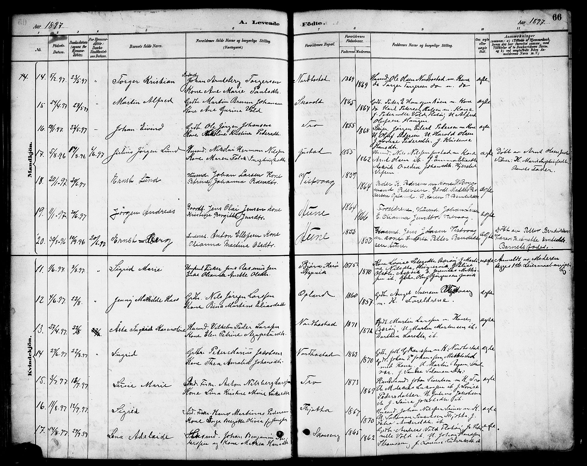 Ministerialprotokoller, klokkerbøker og fødselsregistre - Nordland, AV/SAT-A-1459/817/L0268: Parish register (copy) no. 817C03, 1884-1920, p. 66