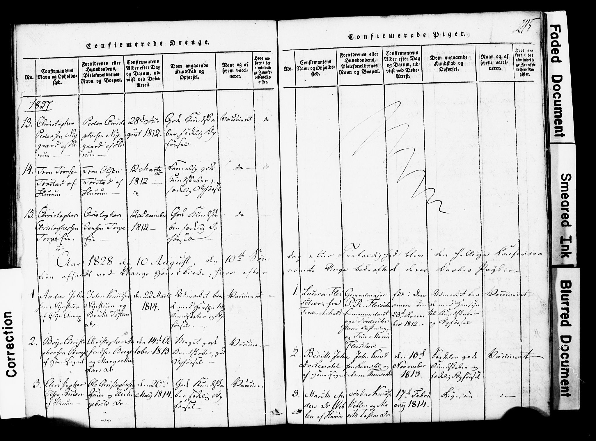 Vang prestekontor, Valdres, SAH/PREST-140/H/Hb/L0001: Parish register (copy) no. 1, 1814-1820, p. 245