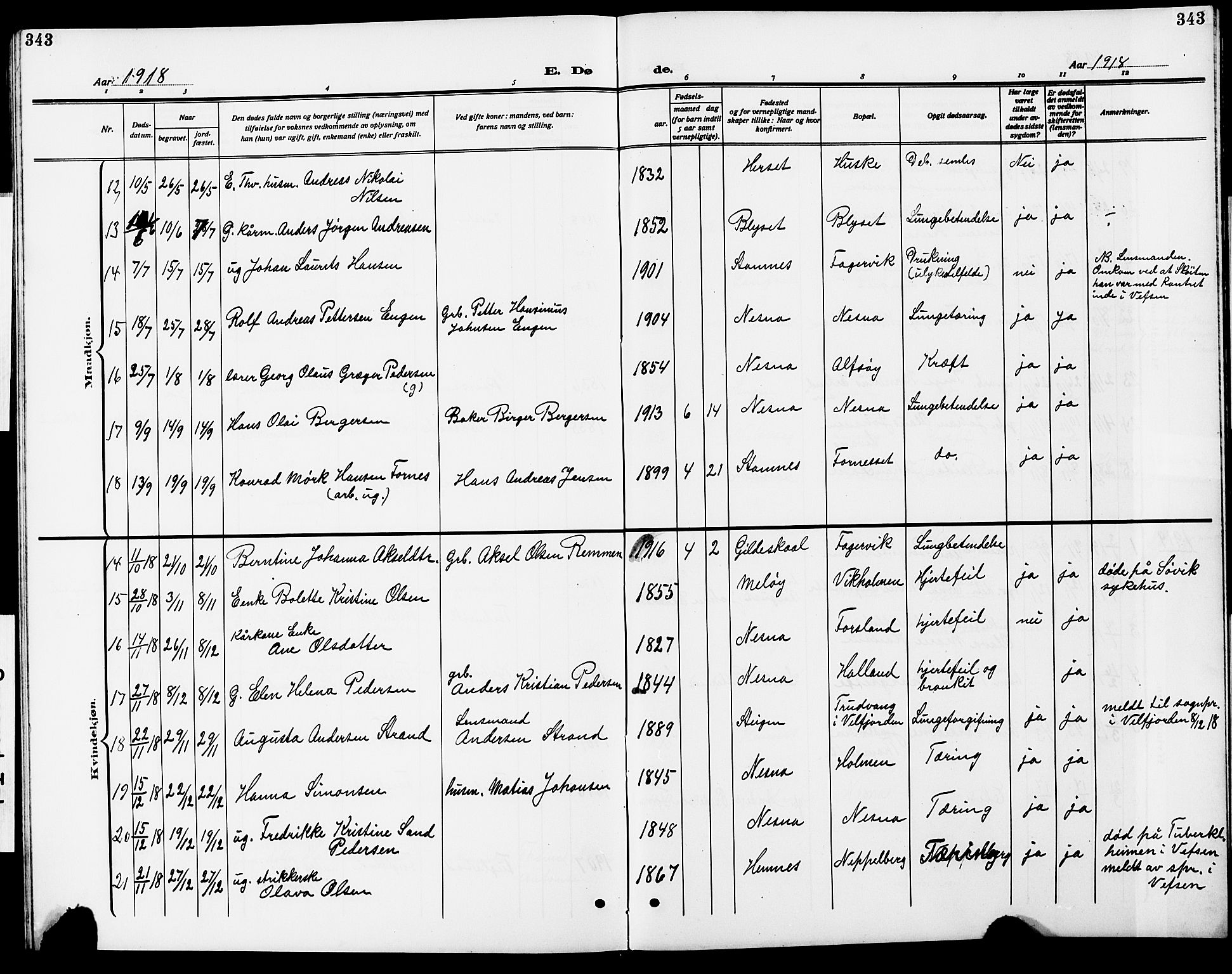 Ministerialprotokoller, klokkerbøker og fødselsregistre - Nordland, AV/SAT-A-1459/838/L0560: Parish register (copy) no. 838C07, 1910-1928, p. 343