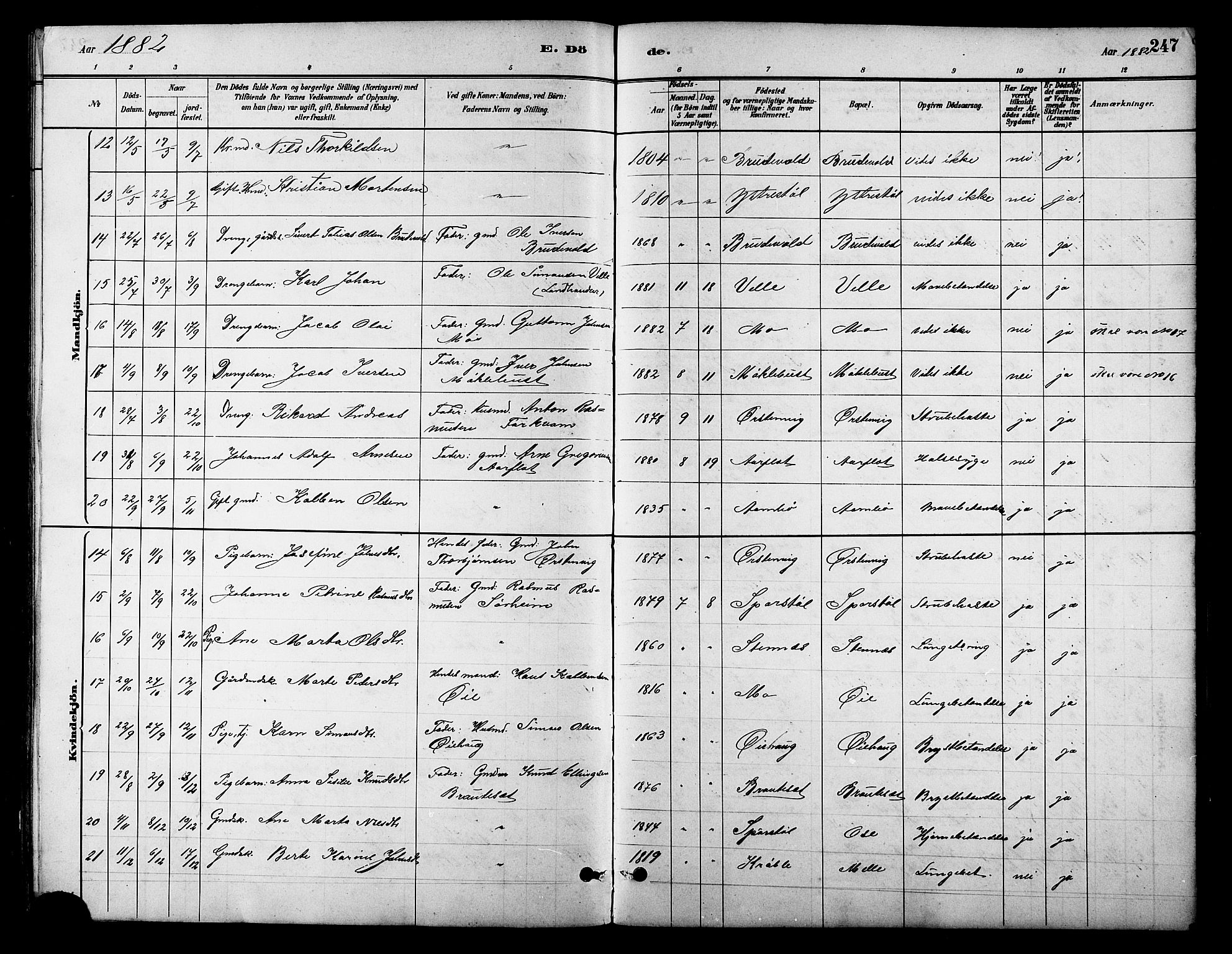 Ministerialprotokoller, klokkerbøker og fødselsregistre - Møre og Romsdal, AV/SAT-A-1454/513/L0189: Parish register (copy) no. 513C03, 1883-1904, p. 247