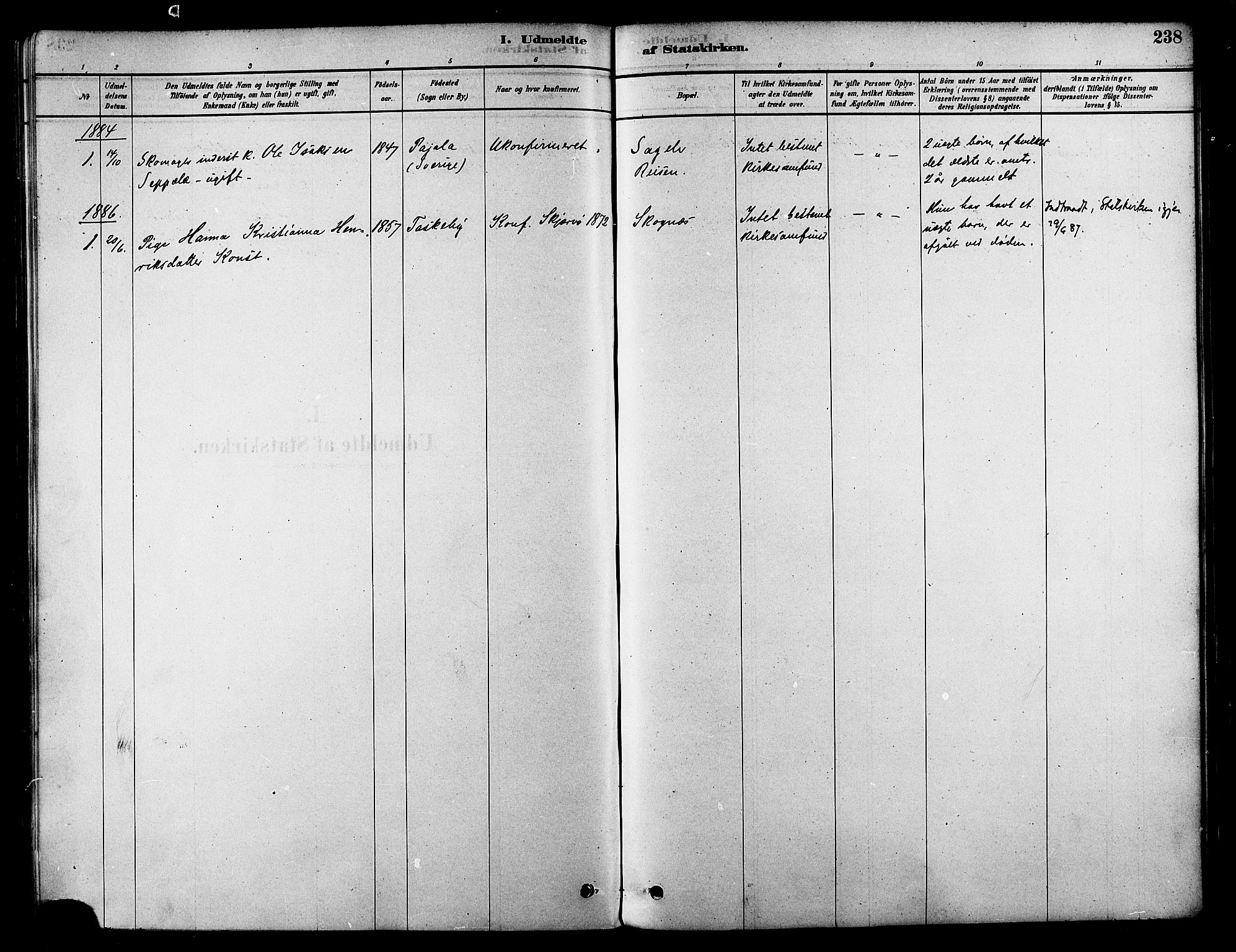 Skjervøy sokneprestkontor, SATØ/S-1300/H/Ha/Haa/L0009kirke: Parish register (official) no. 9, 1878-1887, p. 238