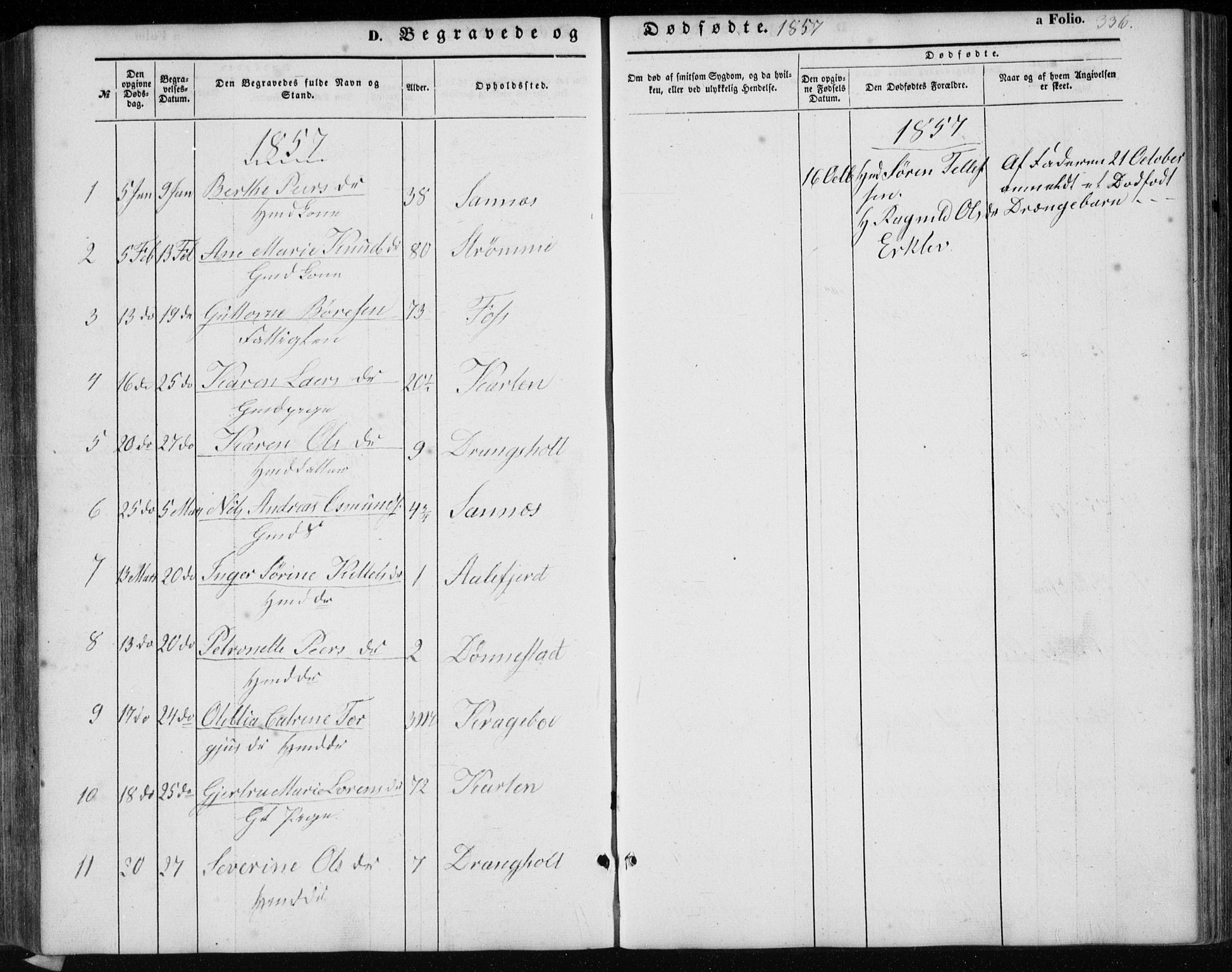 Tveit sokneprestkontor, AV/SAK-1111-0043/F/Fb/L0003: Parish register (copy) no. B 3, 1854-1886, p. 336