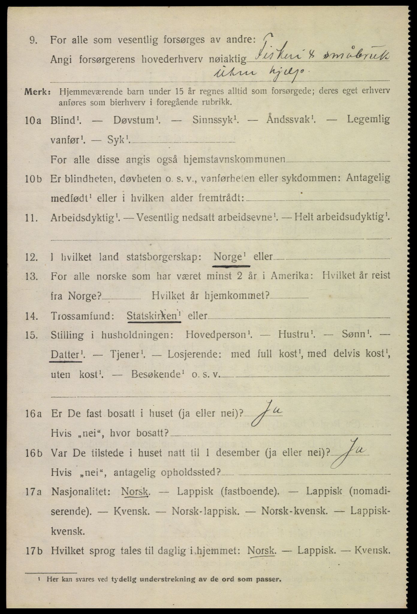 SAT, 1920 census for Bø, 1920, p. 9995