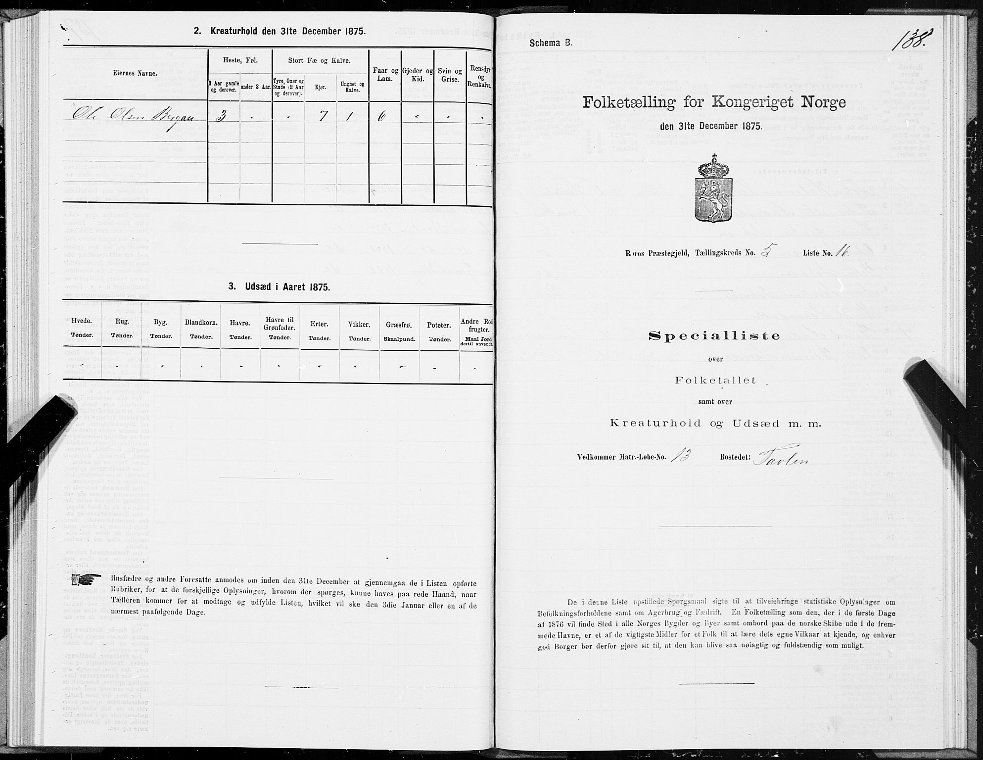 SAT, 1875 census for 1640P Røros, 1875, p. 3138