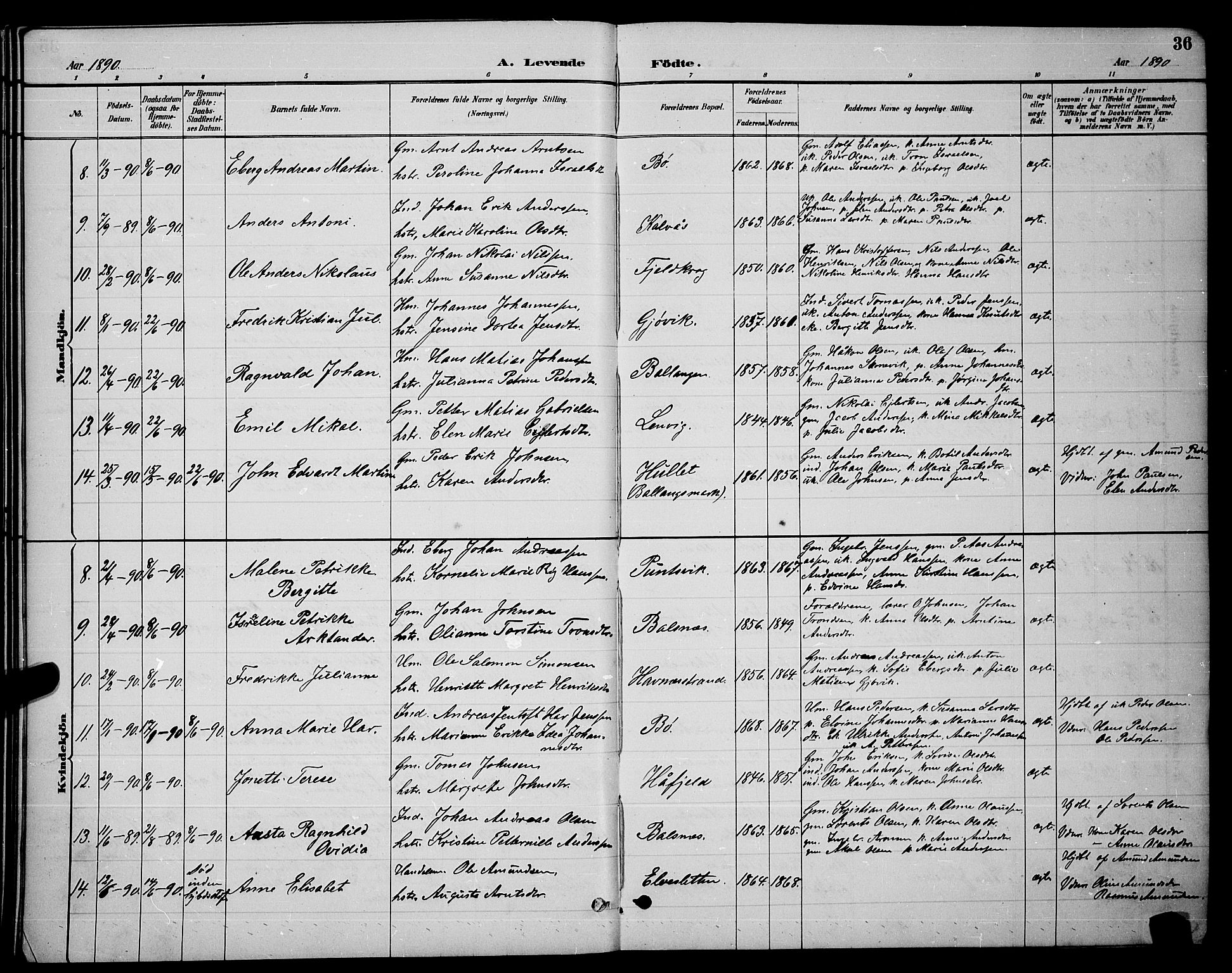 Ministerialprotokoller, klokkerbøker og fødselsregistre - Nordland, AV/SAT-A-1459/863/L0914: Parish register (copy) no. 863C04, 1886-1897, p. 36