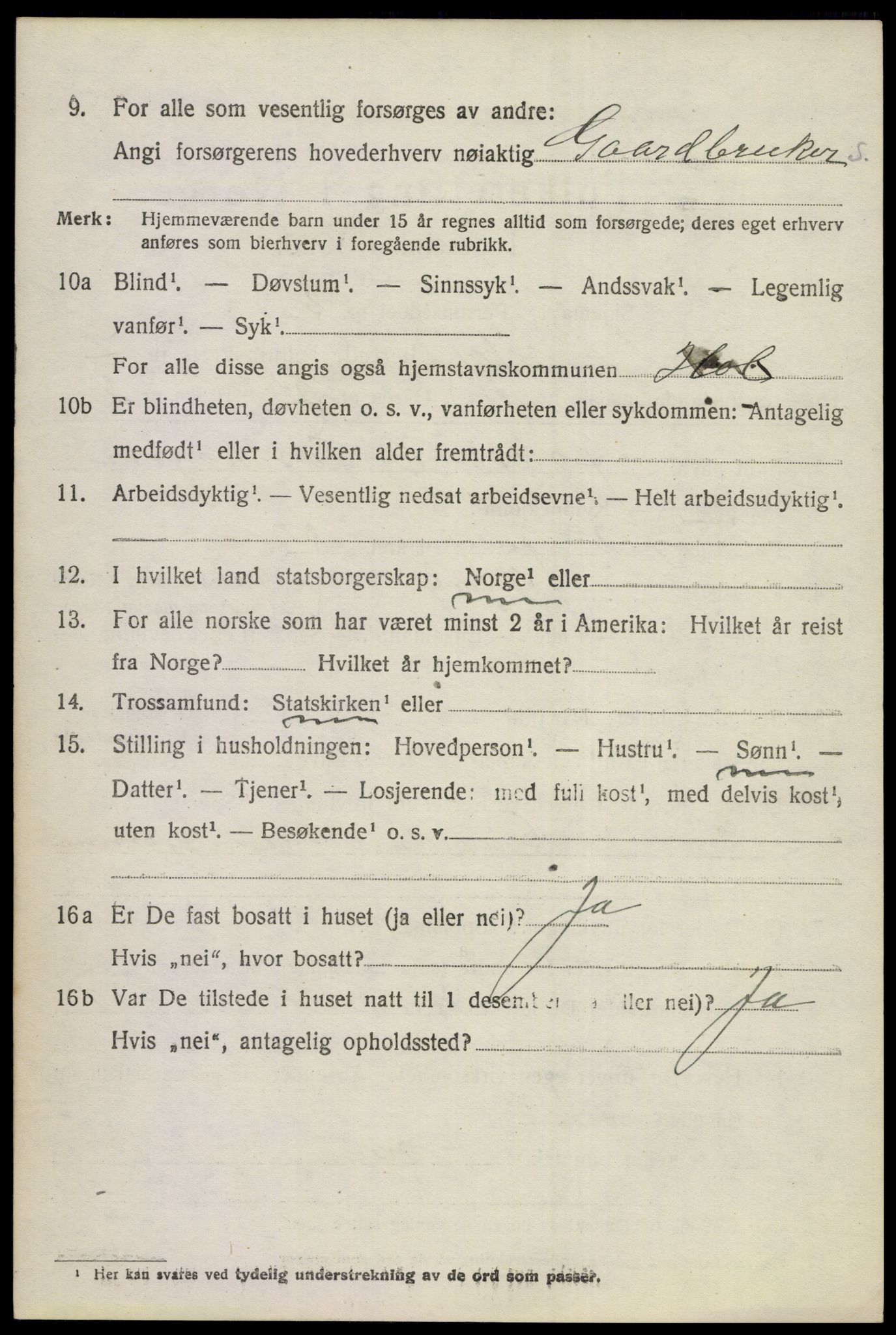 SAKO, 1920 census for Hol (Buskerud), 1920, p. 3512